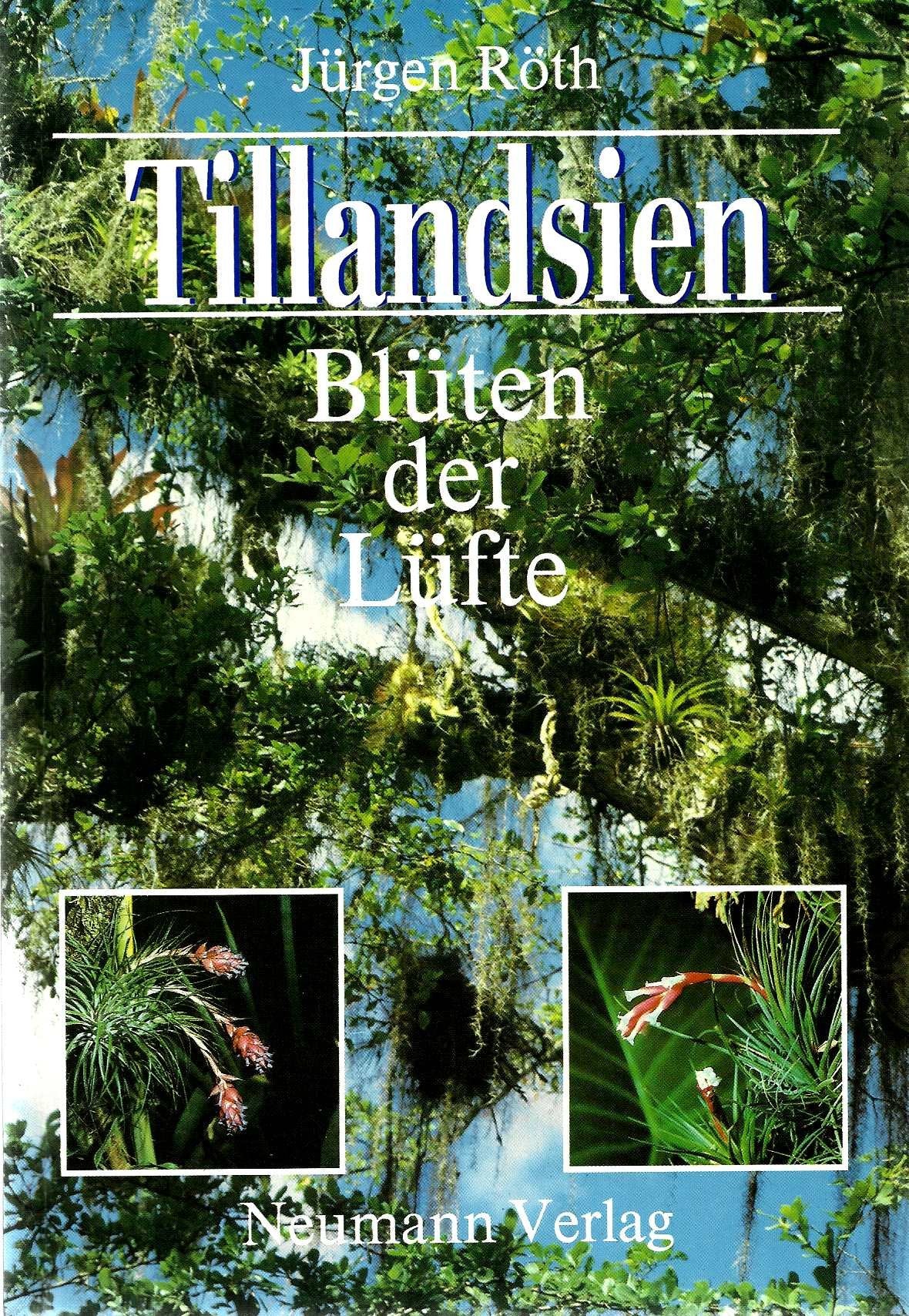 Product Image: Tillandsien. Blüten der Lüfte