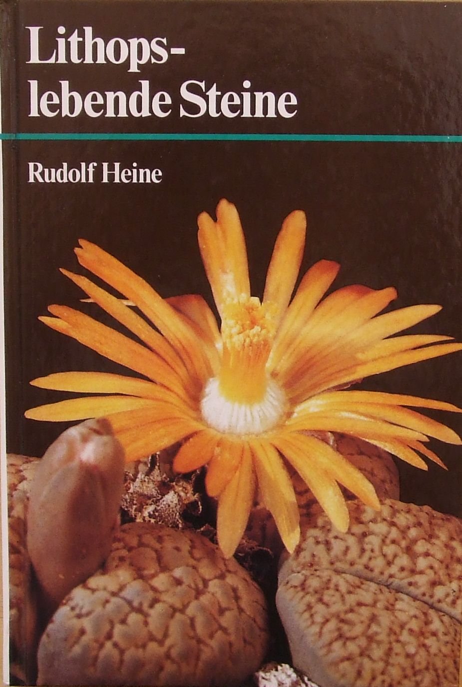 Lithops - lebende Steine. Books
