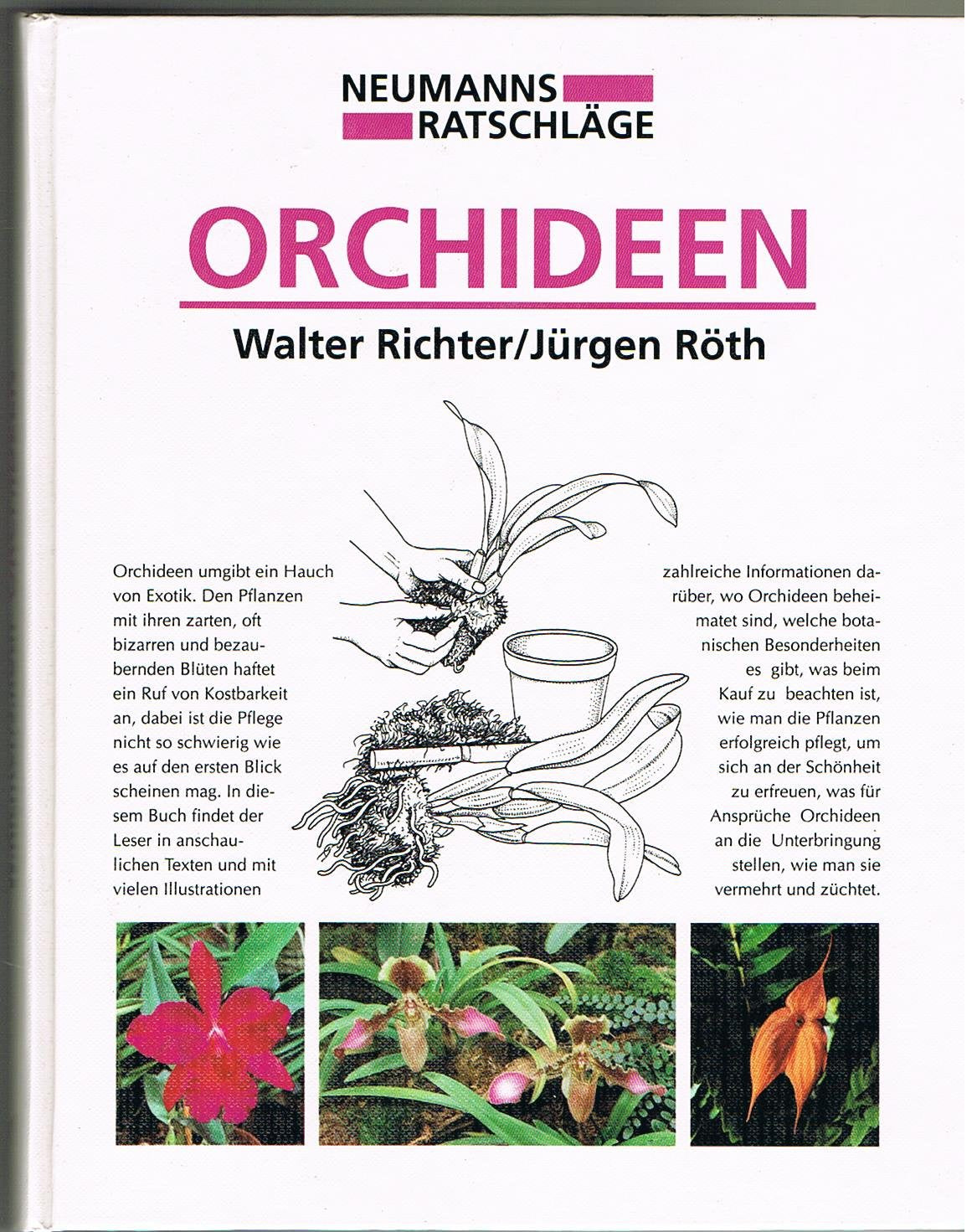 Orchideen Garden & Plants