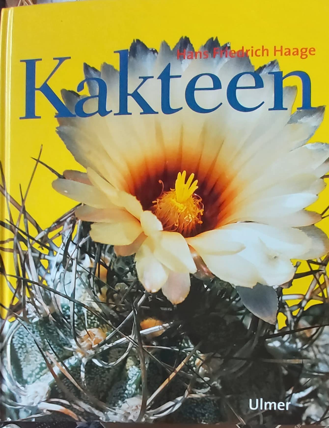 Product Image: Kakteen