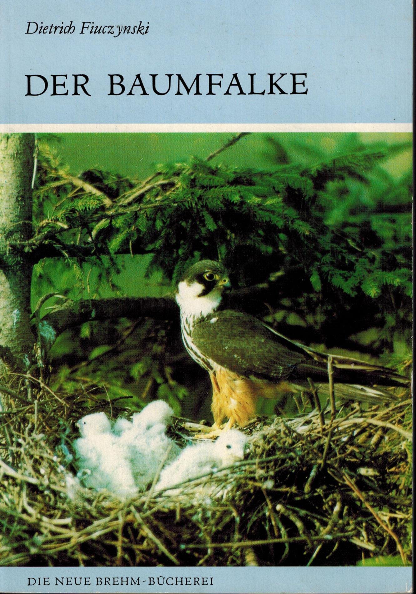 Der Baumfalke Natural Sciences