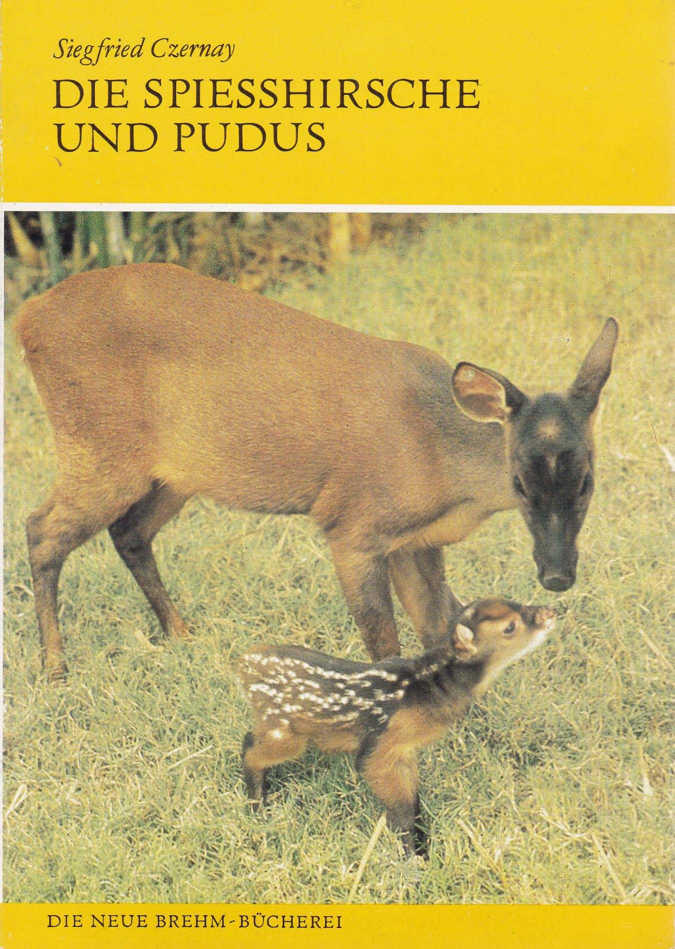Spiesshirsche und Pudus : Die Gattungen Mazama u. Pudu. Die neue Brehm-Bücherei - 581. book
