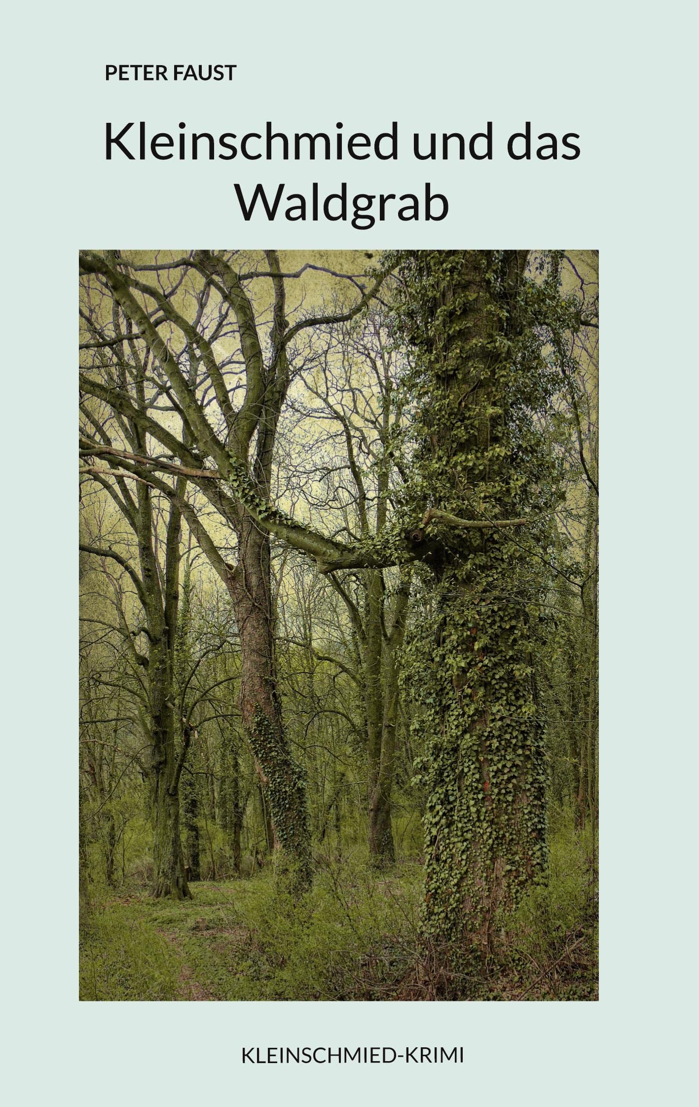 Kleinschmied und das Waldgrab (Kleinschmied-Krimi) Contemporary literature
