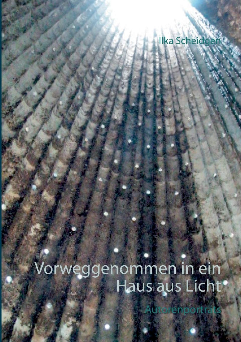 Vorweggenommen in ein Haus aus Licht Essays & Short Stories