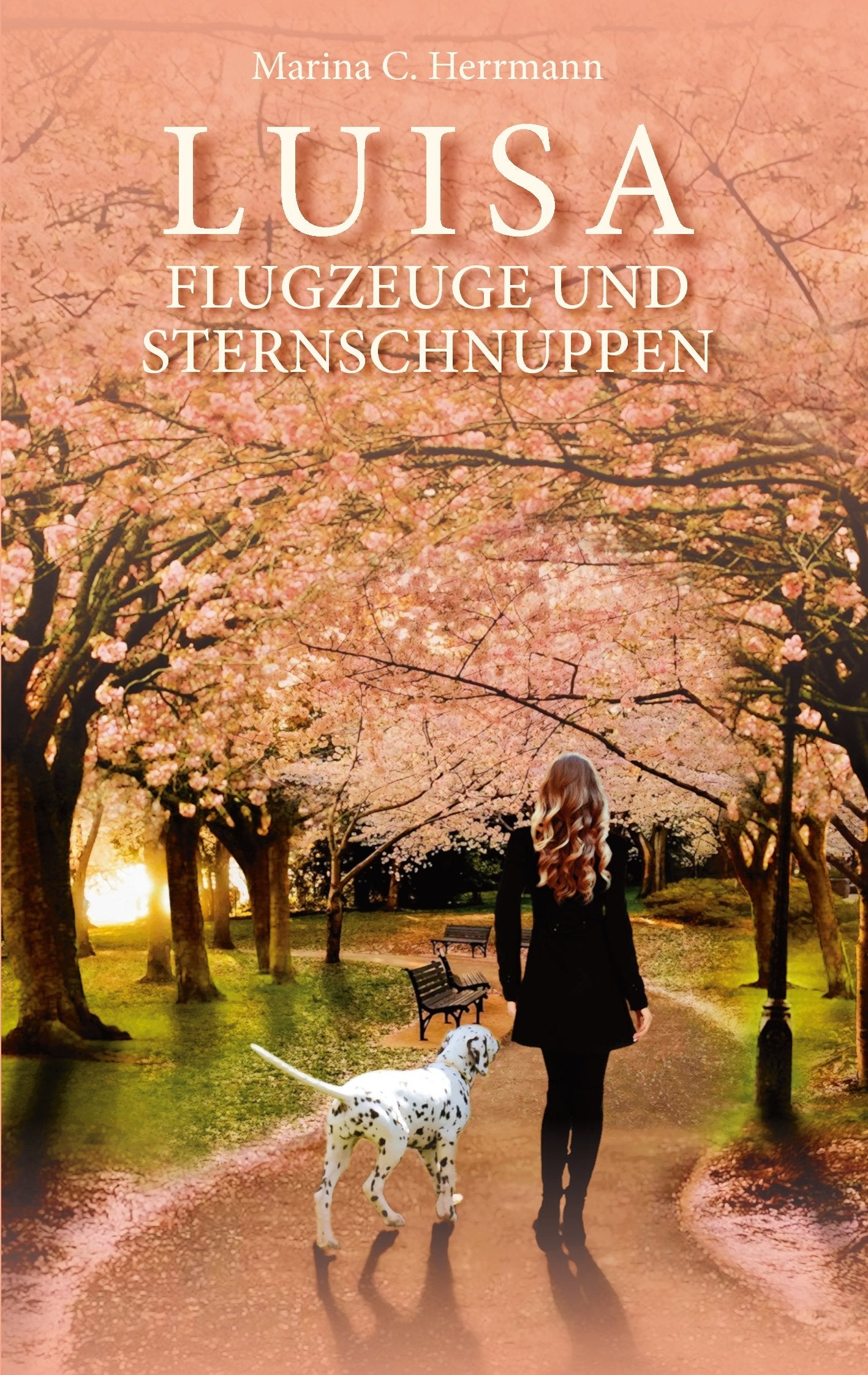 Luisa - Flugzeuge und Sternschnuppen Contemporary literature