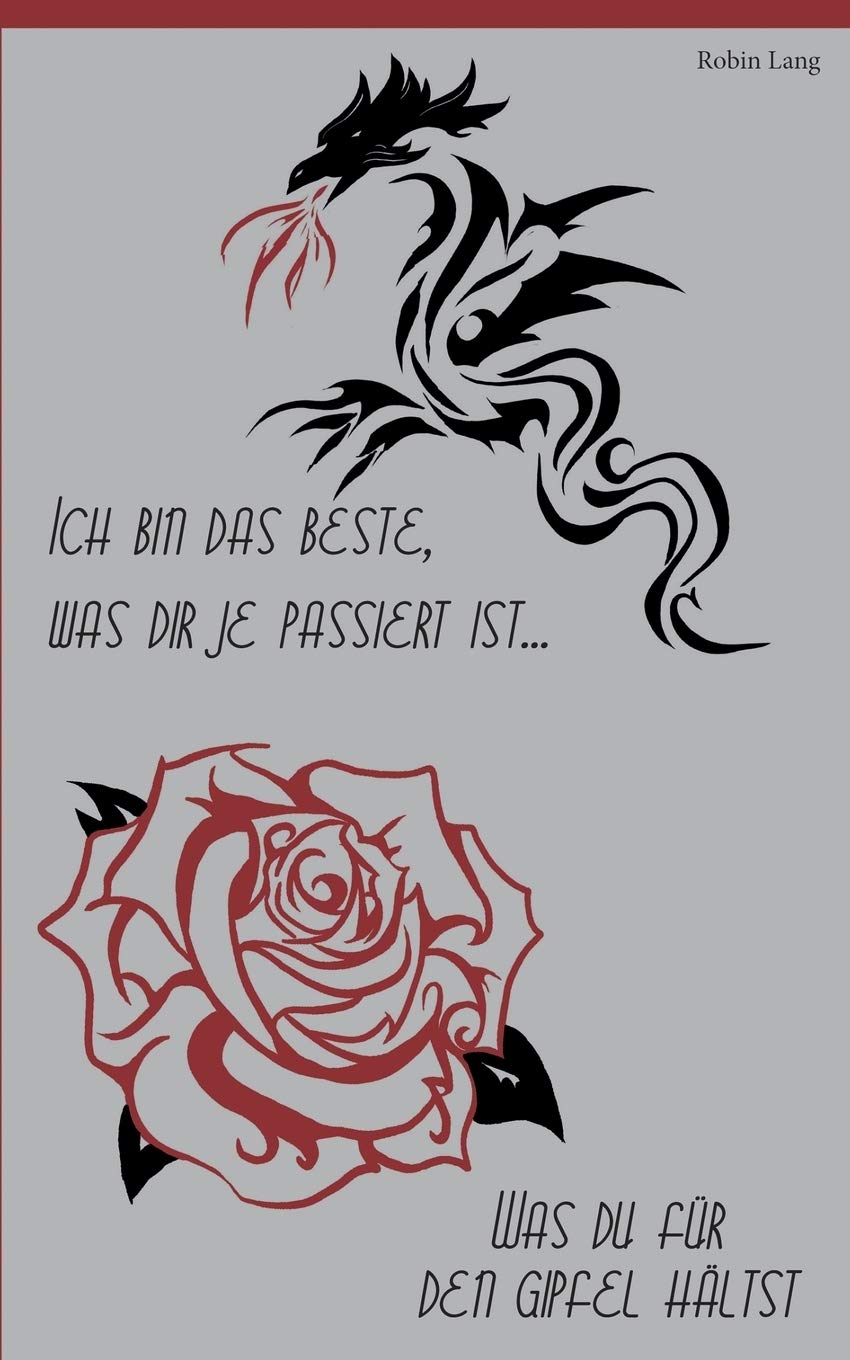 Ich bin das Beste, was dir je passiert ist / Was du für den Gipfel hältst: Hier und Jetzt Band 1 und 2 Contemporary literature