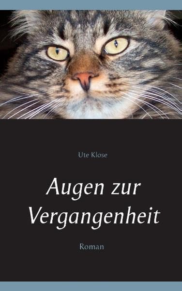 Augen zur Vergangenheit Historical Fiction