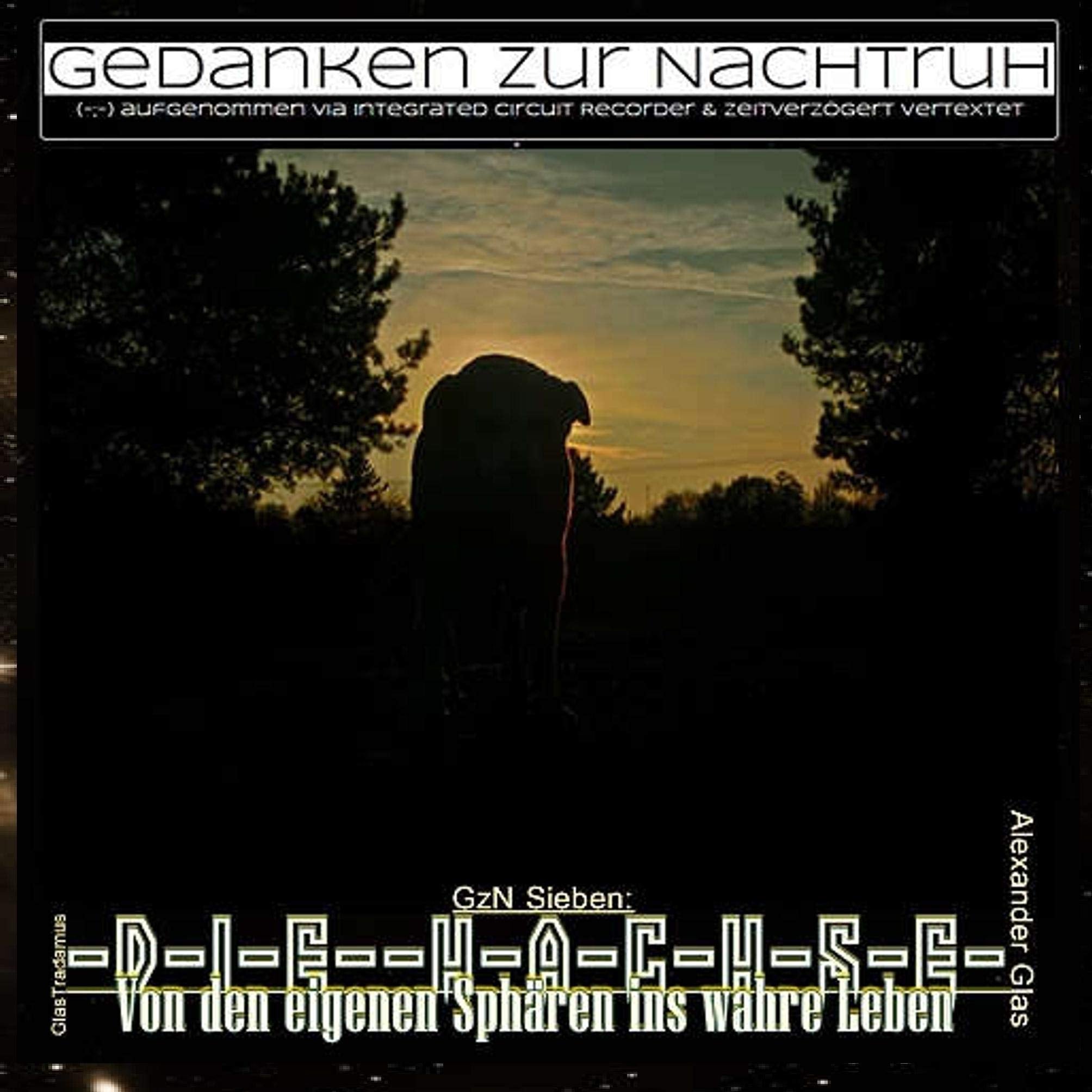 GzN Sieben: Die Hachse: Von den eigenen Sphären ins wahre Leben book
