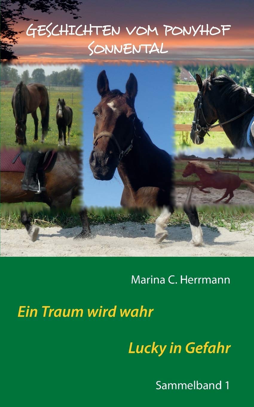 Geschichten vom Ponyhof Sonnental: Sammelband 1 Novels & Short Stories