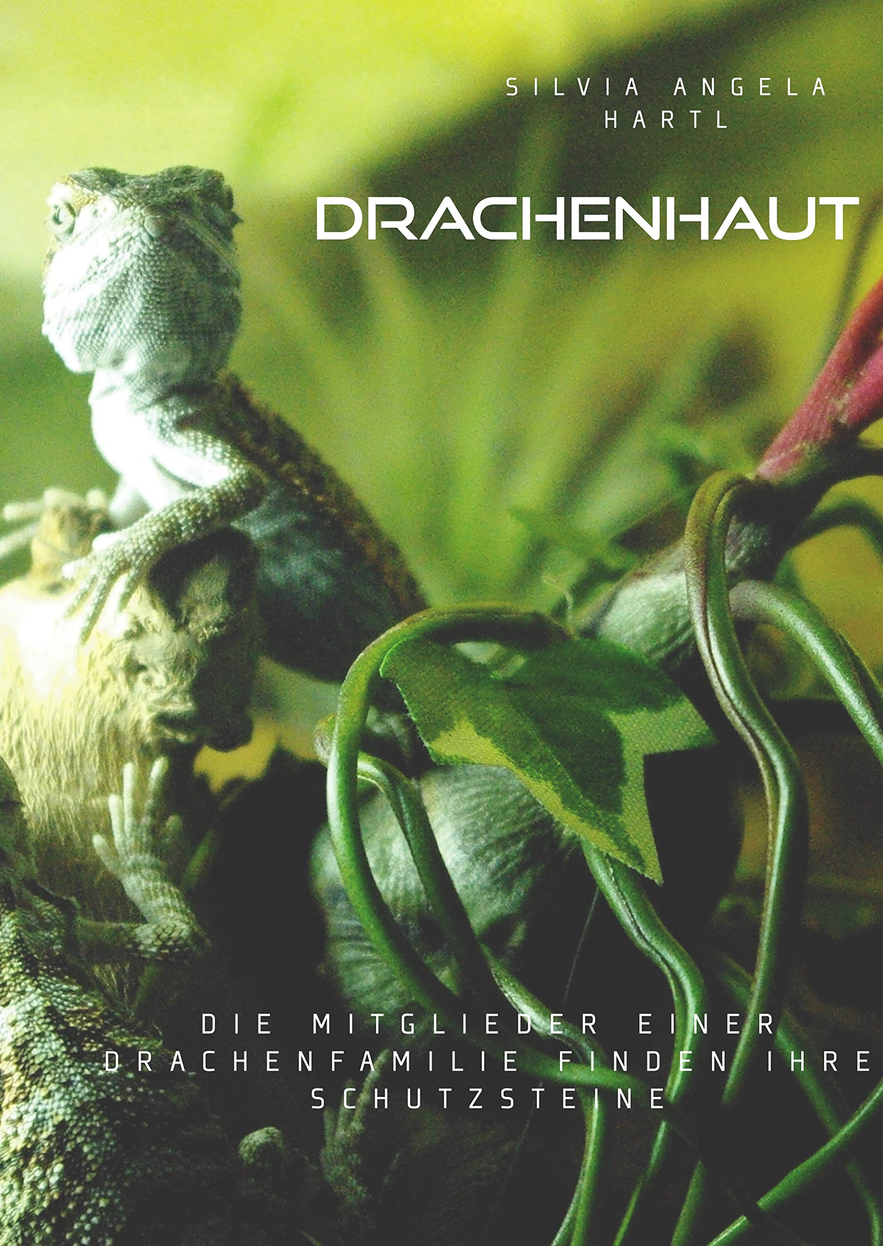 Product Image: Drachenhaut