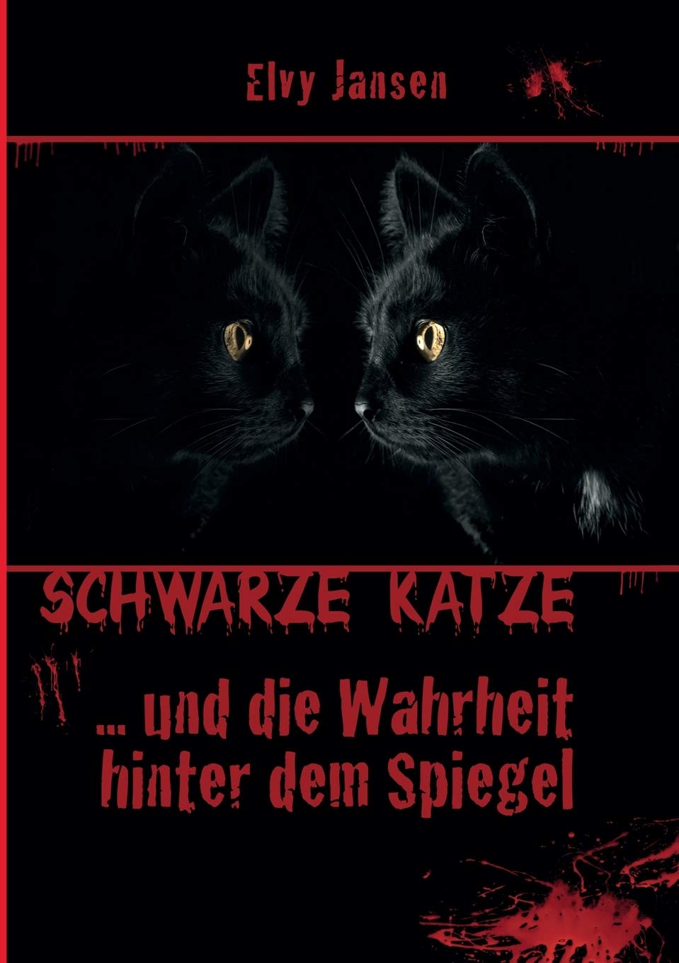 Schwarze Katze...Und die Wahrheit hinter dem Spiegel Contemporary literature