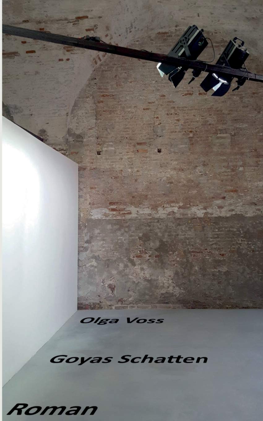 Goyas Schatten Contemporary literature