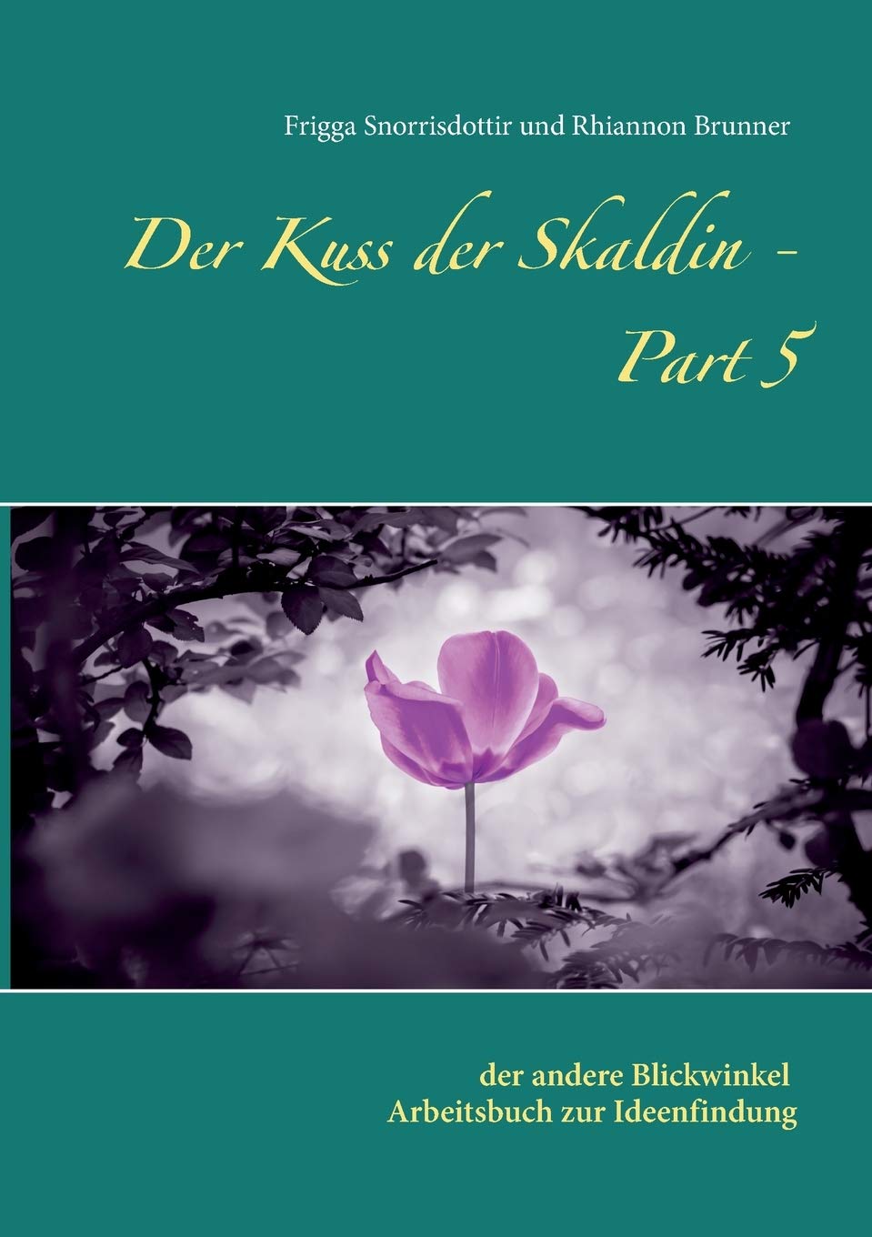 Der Kuss der Skaldin - Part 5: der andere Blickwinkel - Arbeitsbuch zur Ideenfindung (Skaldenschule) Business, Finance & Career