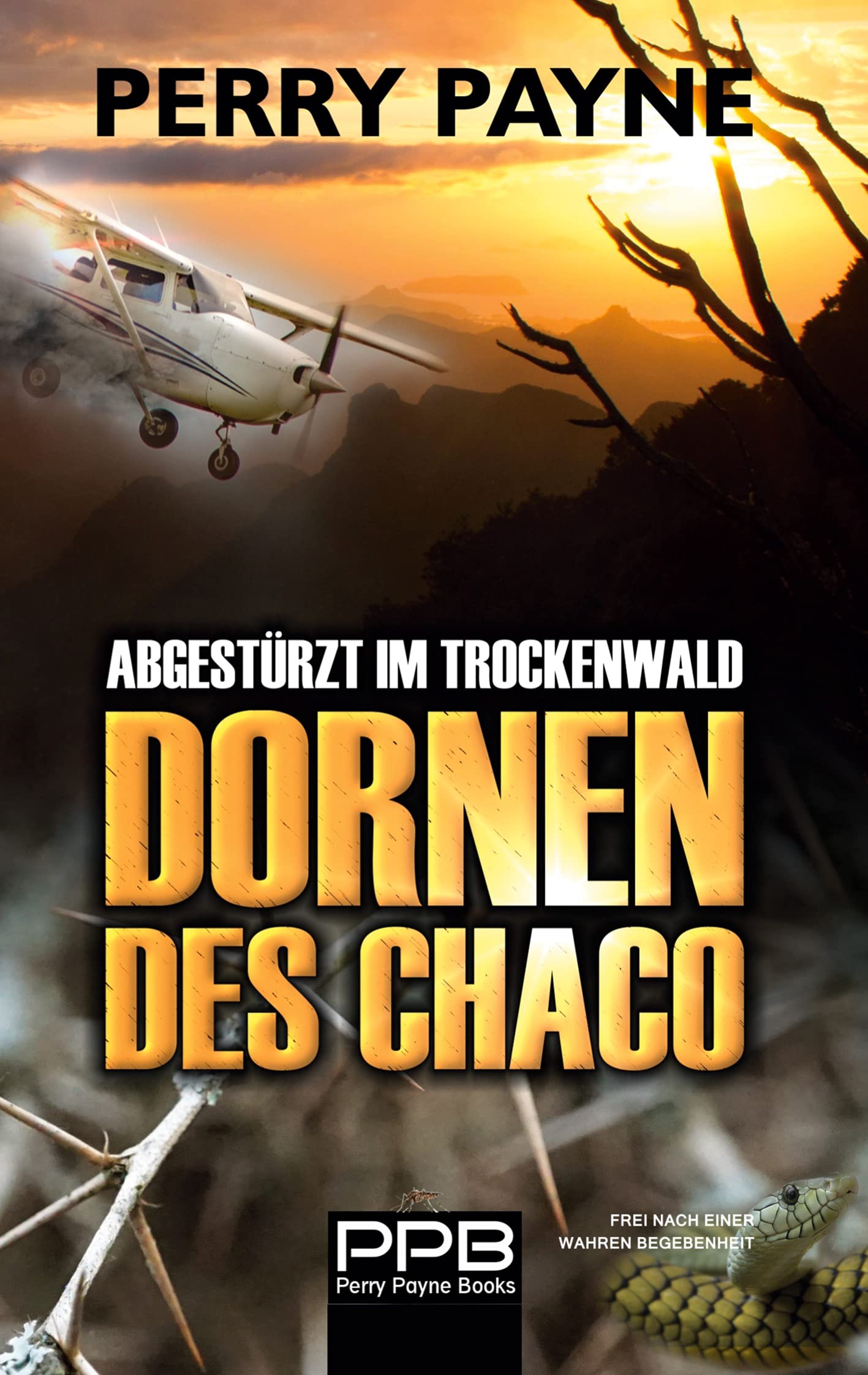Abgestürzt im Trockenwald - Dornen des Chaco Contemporary literature