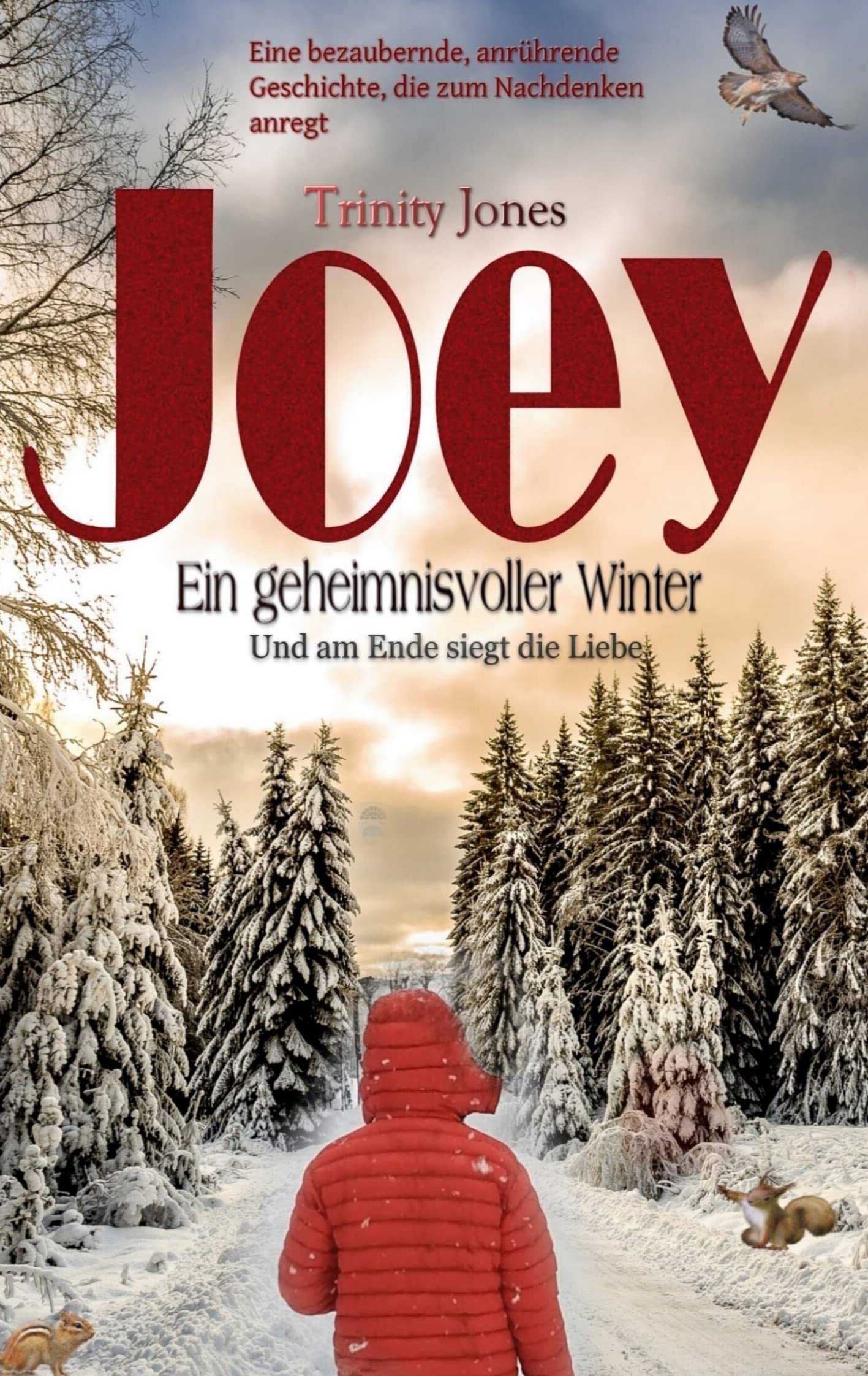 Joey Ein geheimnisvoller Winter: Und am Ende siegt die Liebe Contemporary literature