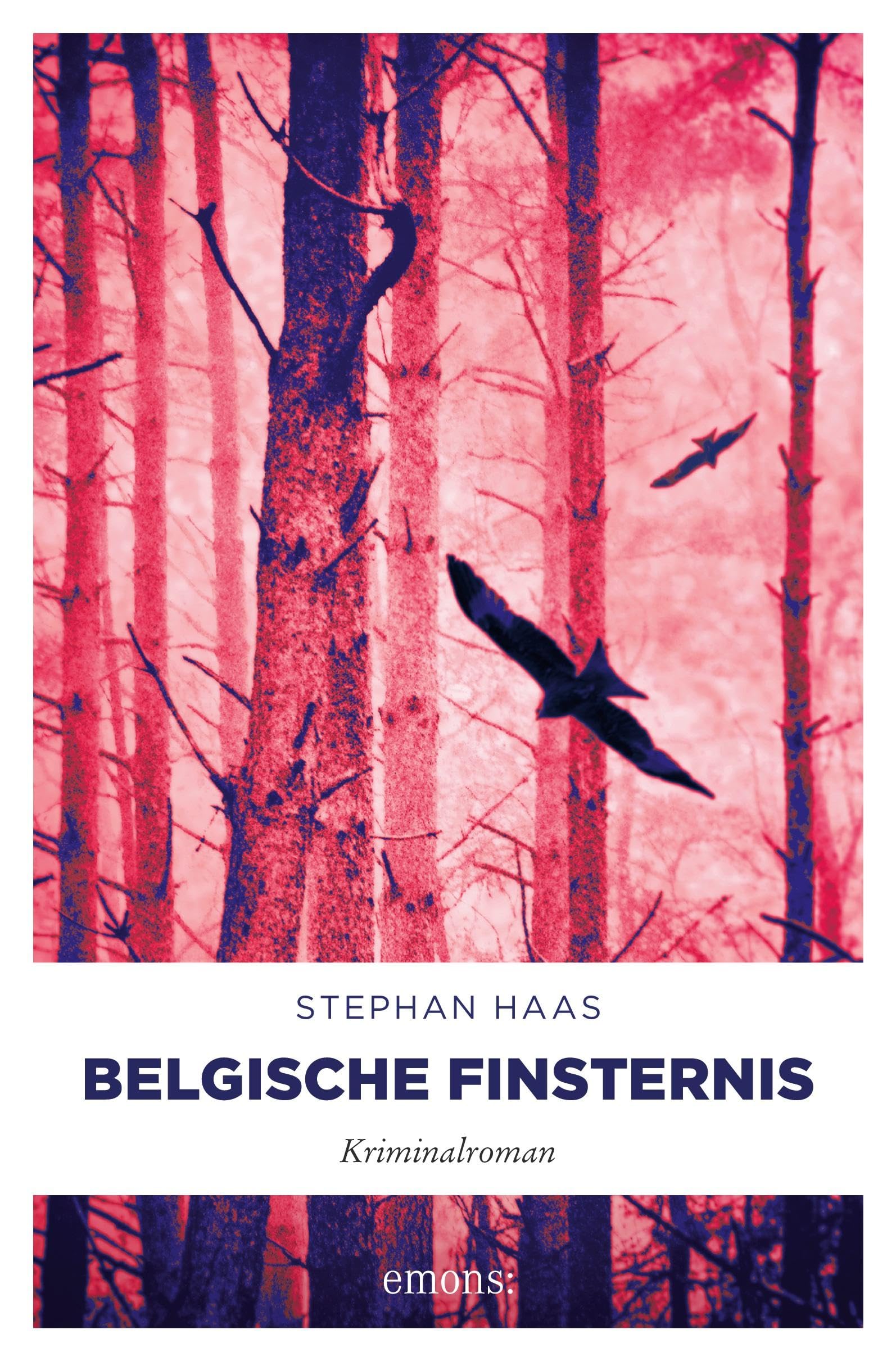 Belgische Finsternis Contemporary literature Books