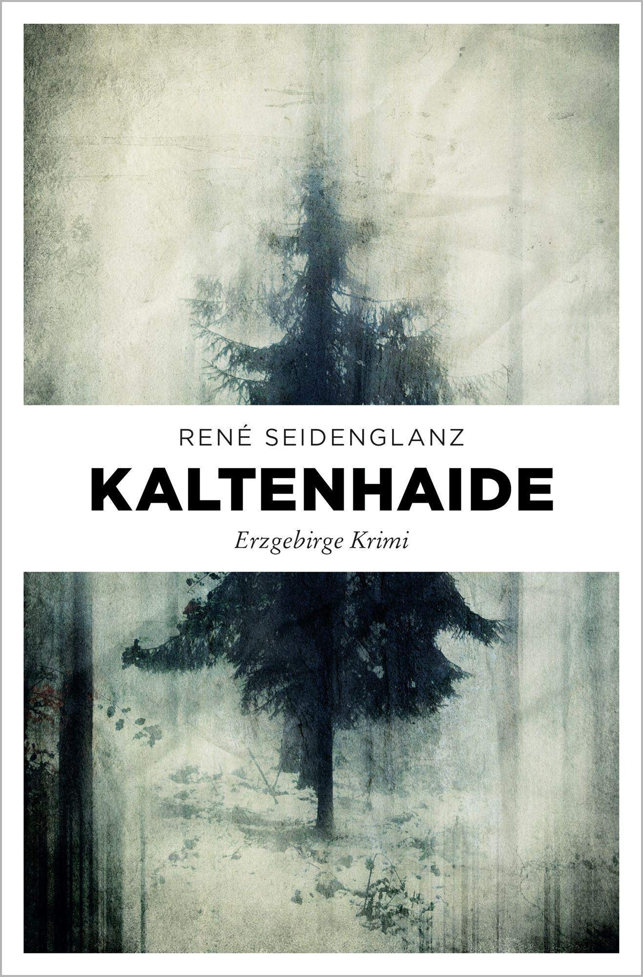 Kaltenhaide Contemporary literature Books