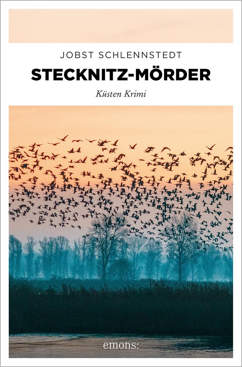 Stecknitz-Mörder Contemporary literature Books