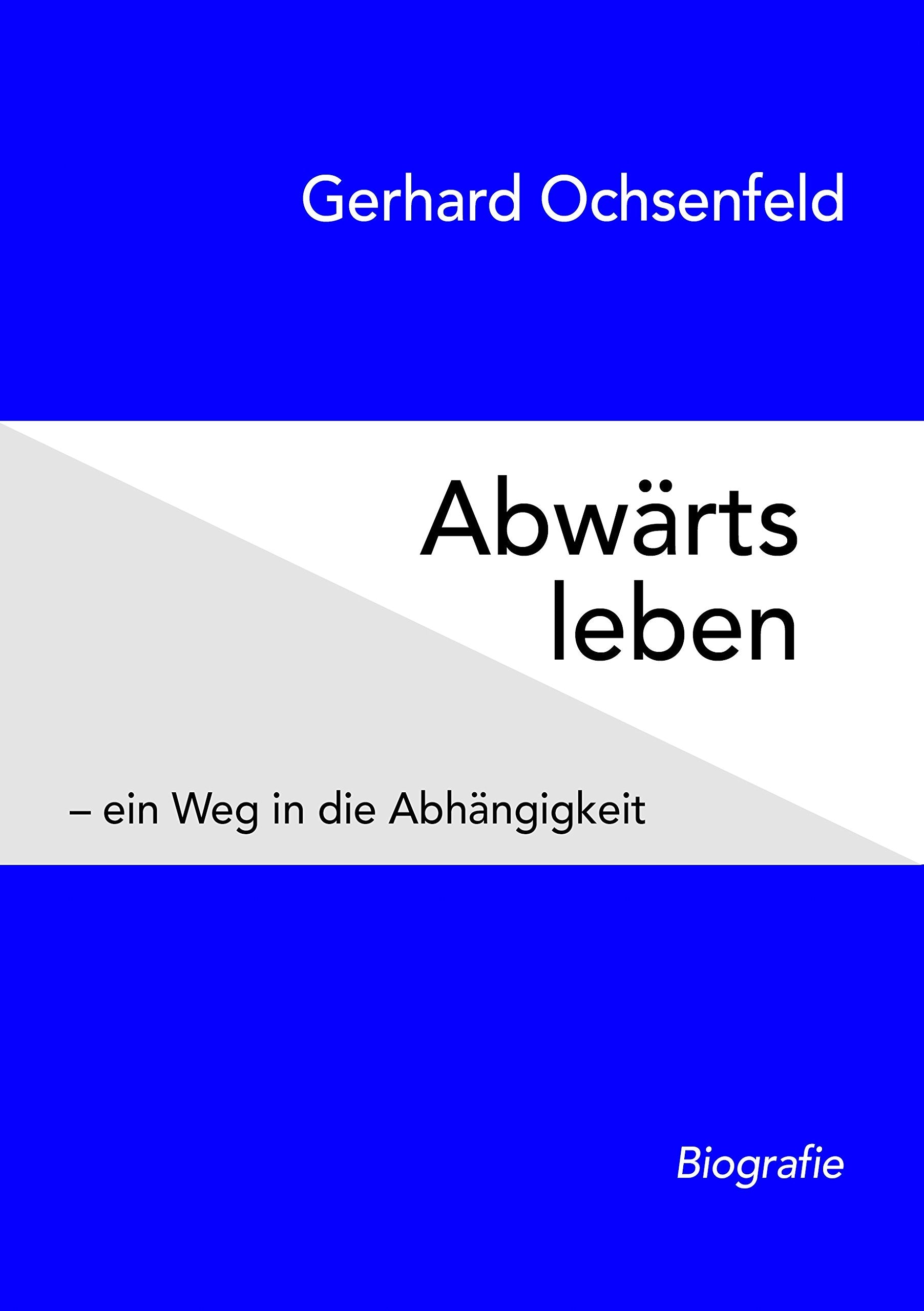 Abwärts leben: – ein Weg in die Abhängigkeit Contemporary literature