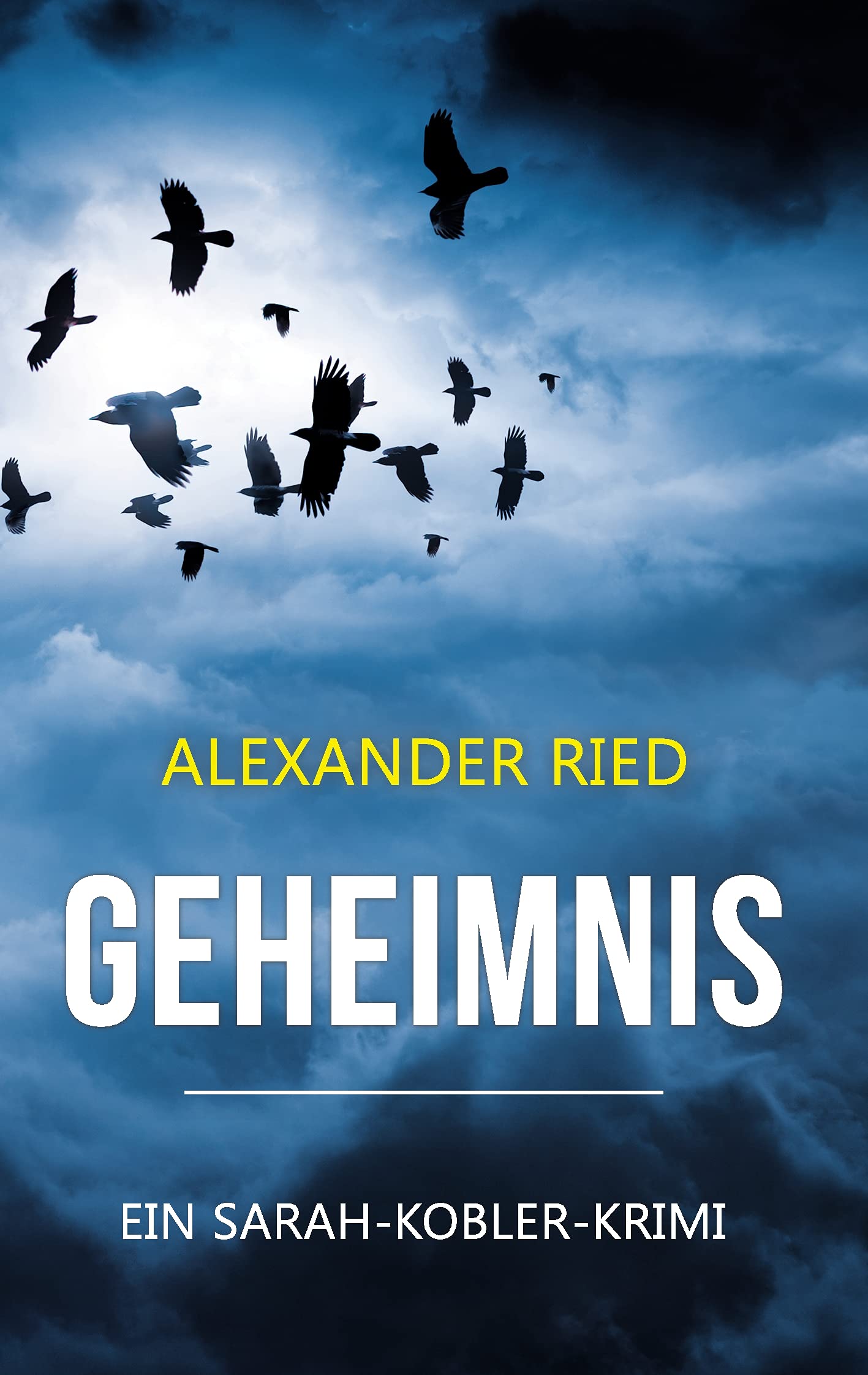 Geheimnis: Ein Sarah-Kobler-Krimi (Sarah Kobler Kriminalromane) Contemporary literature