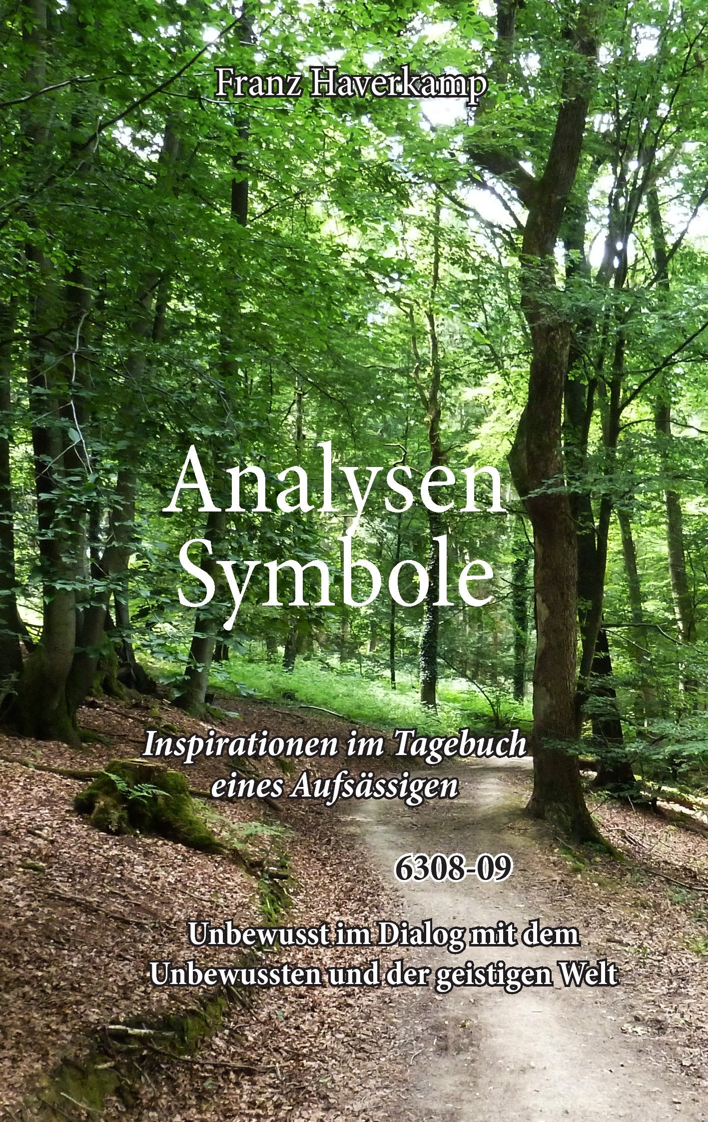Haverkamp, F: Analysen Symbole 6308-09 Essays & Short Stories