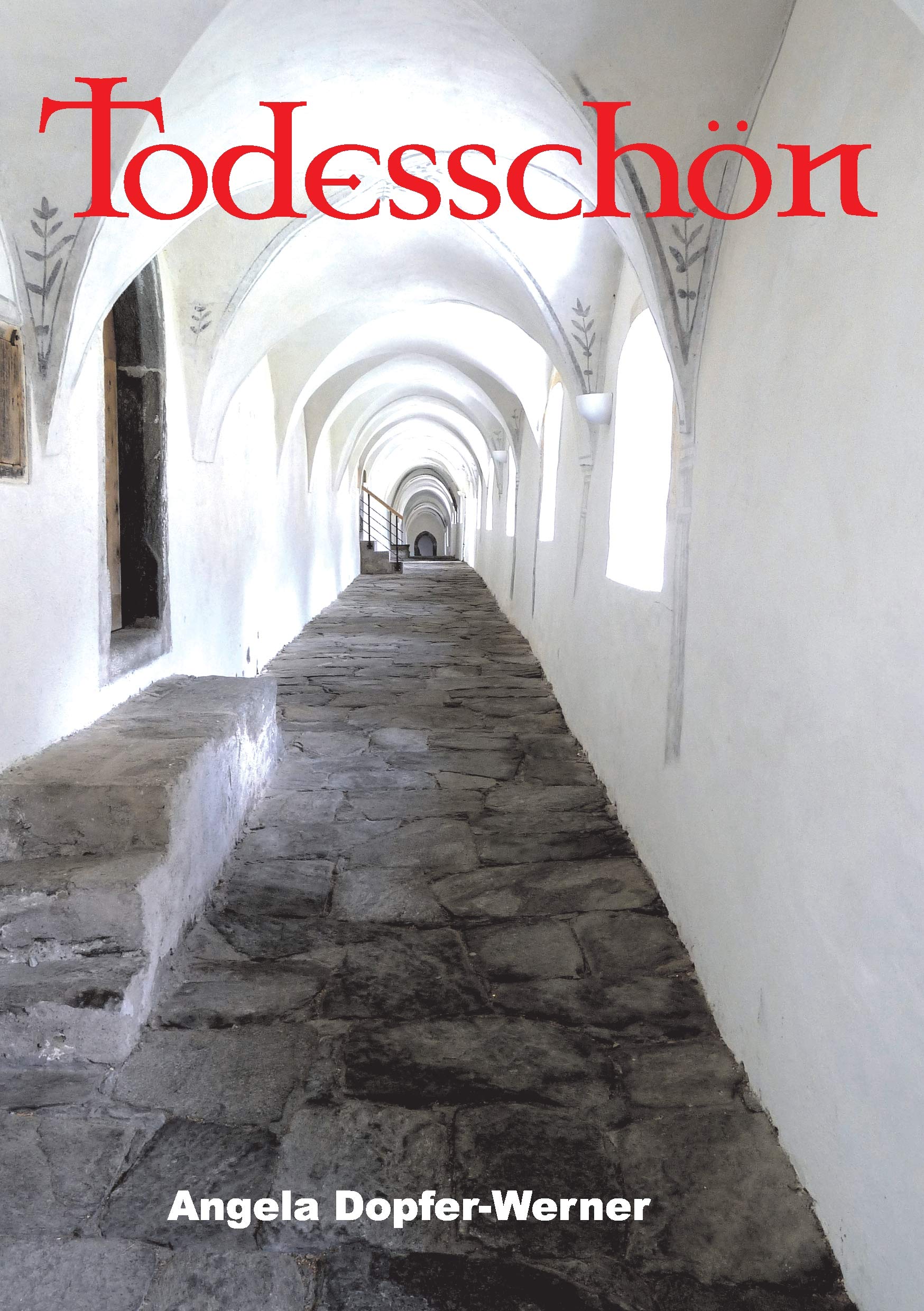 Todesschön - Die Aventiuren der Leo Ennemoser: Band 1 - Illustrierte Sonderausgabe Action & Adventure