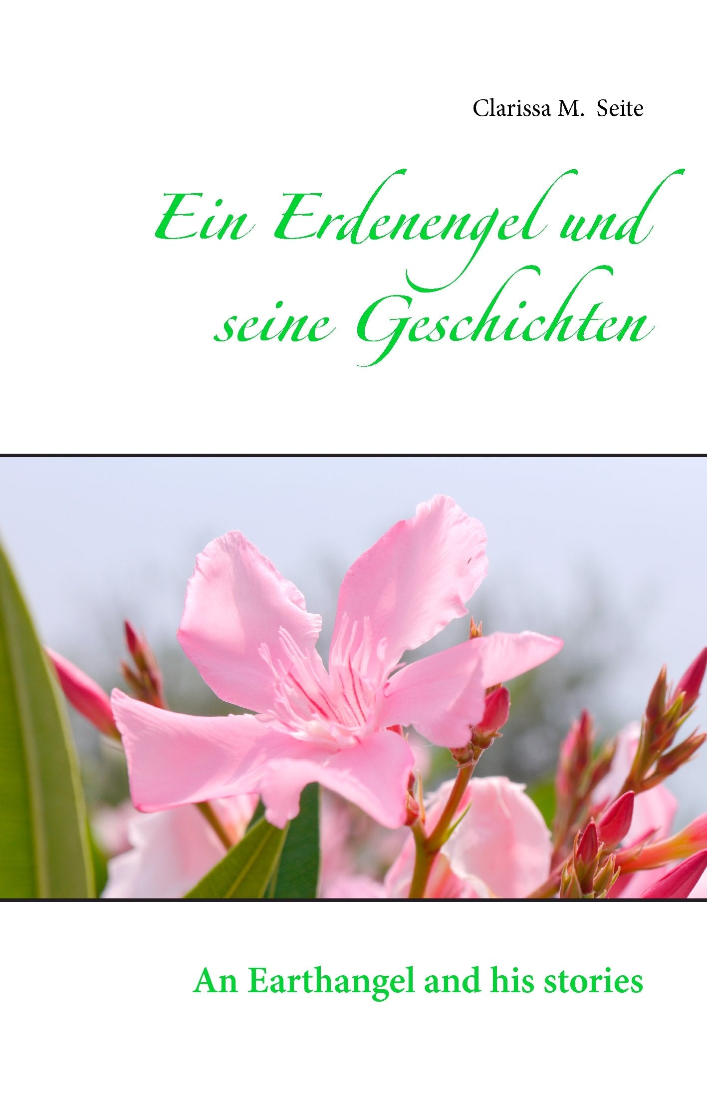 Ein Erdenengel und seine Geschichten: An Earthangel and his stories Religion & Esotericism