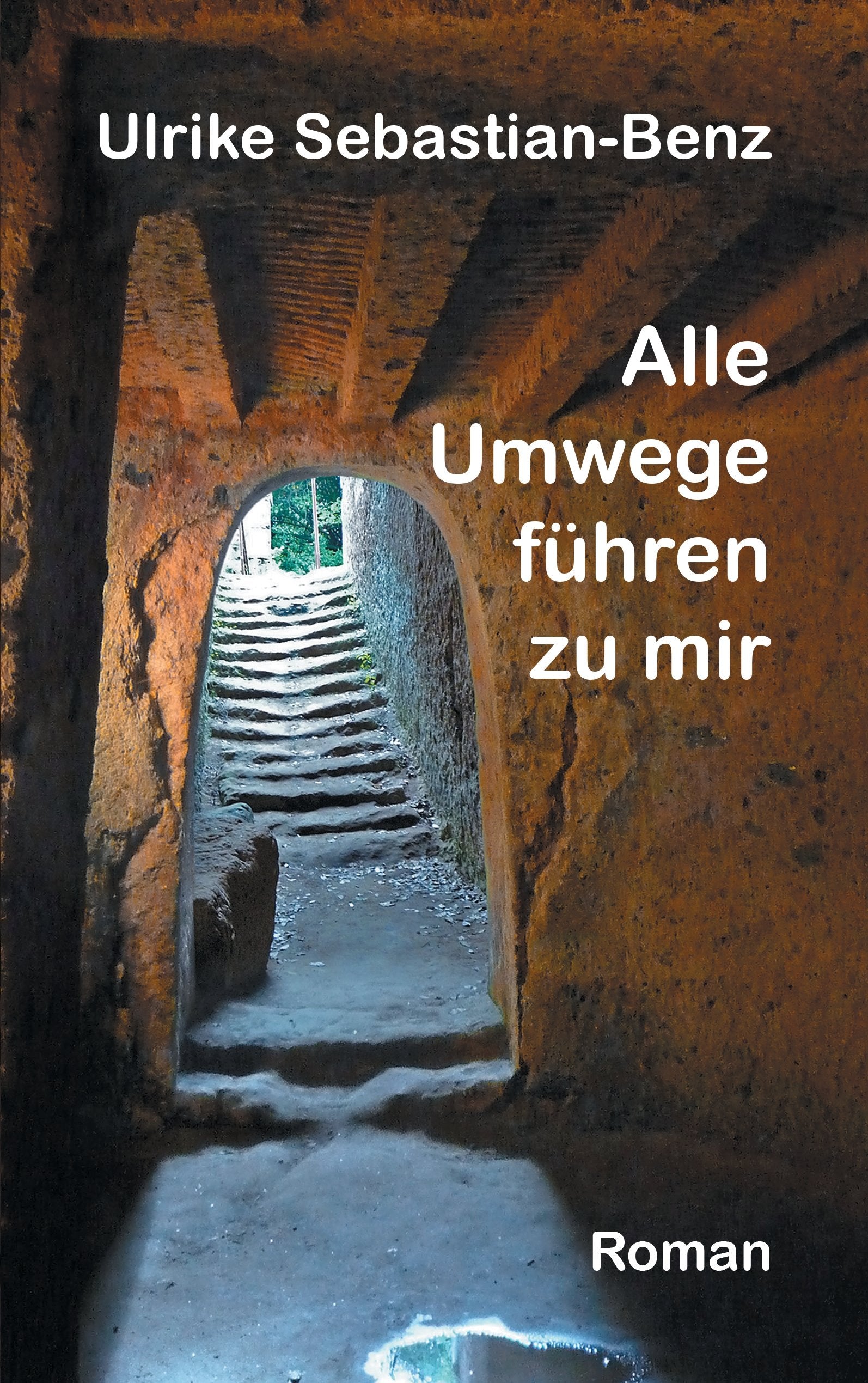 Alle Umwege führen zu mir Contemporary literature