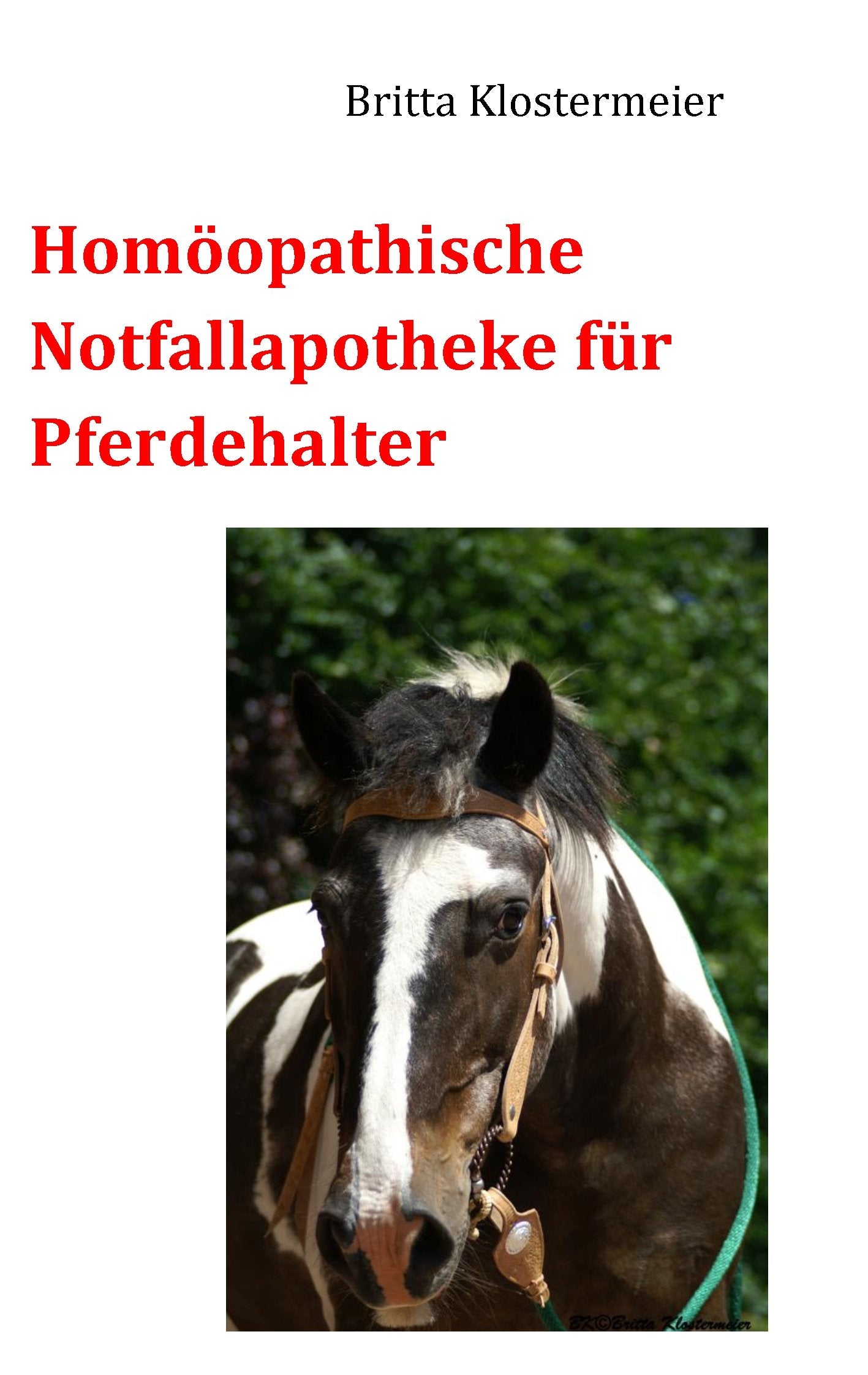 Homöopathische Notfallapotheke für Pferdehalter Medicine