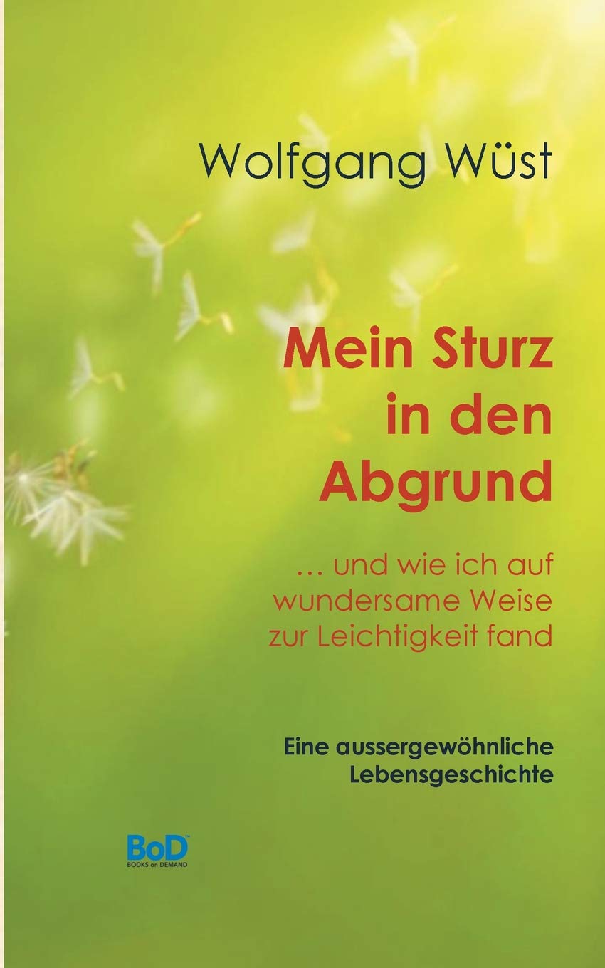 Mein Sturz in den Abgrund: ... und wie ich auf wundersame Weise zur Leichtigkeit fand Books