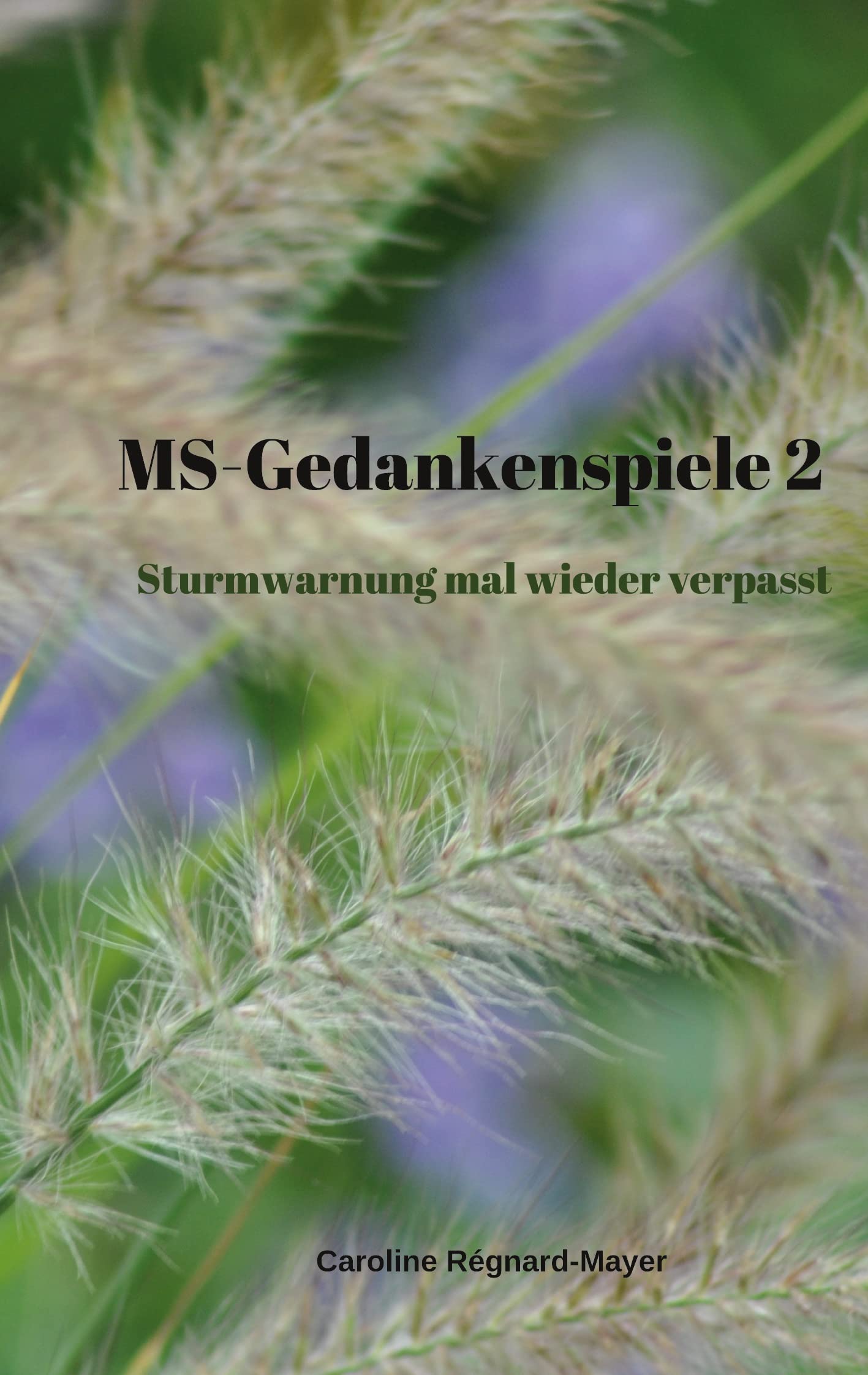 MS-Gedankenspiele 2: Sturmwarnung mal wieder verpasst book