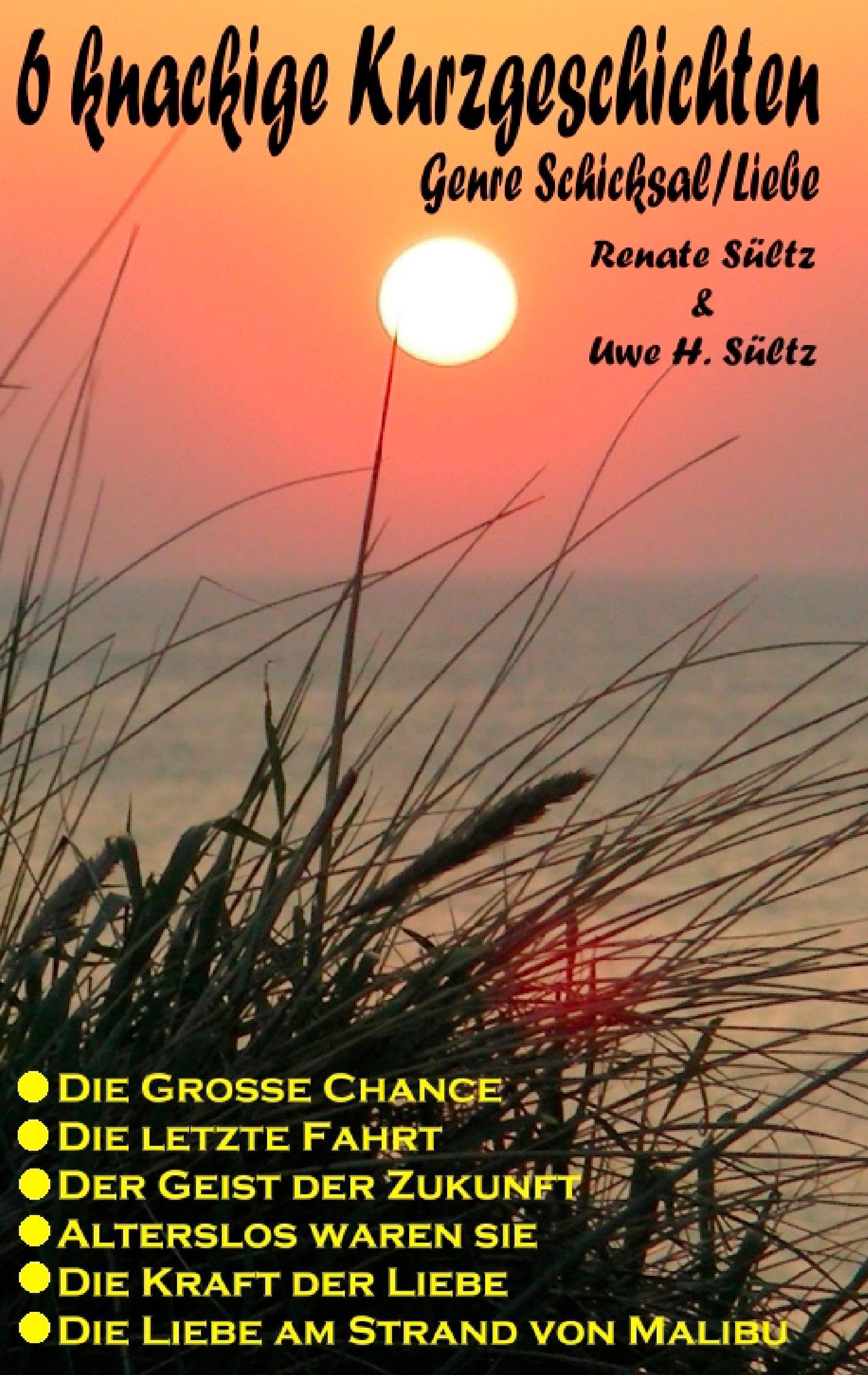 6 knackige Kurzgeschichten - Genre Schicksal/Liebe: Die große Chance - Die Liebe am Strand von Malibu - Die letzte Fahrt - Alterslos waren sie - Der Geist der Zukunft - Die Kraft der Liebe Essays & Short Stories