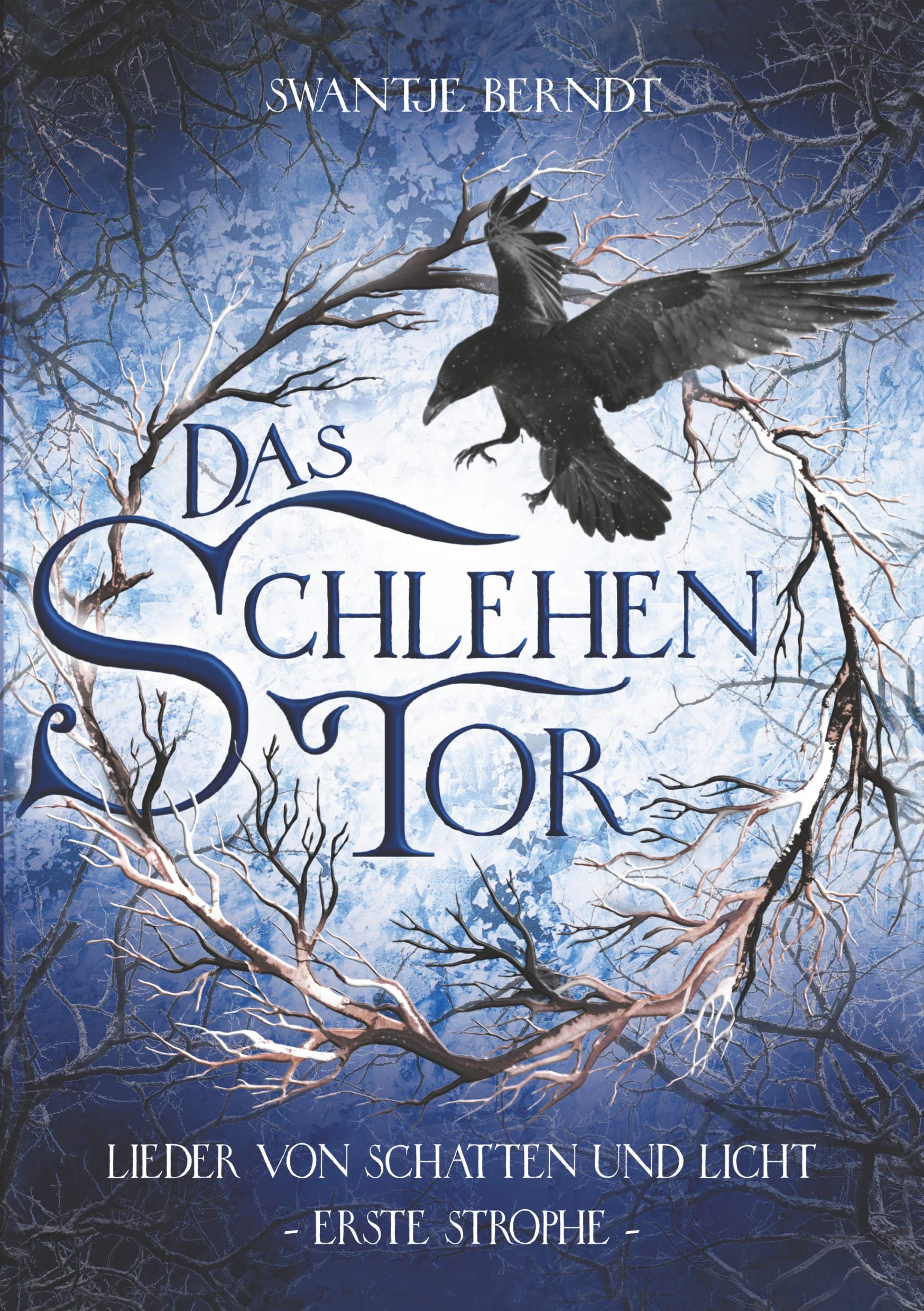 Das Schlehentor Historical Fiction
