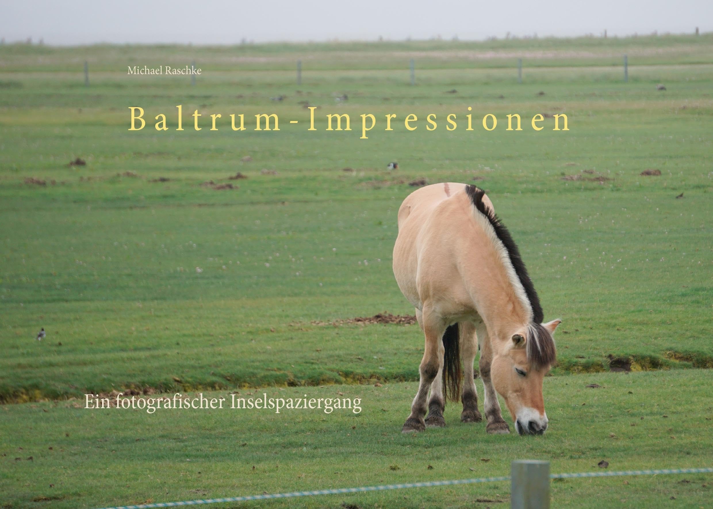 Baltrum-Impressionen: Ein fotografischer Inselspaziergang Photography