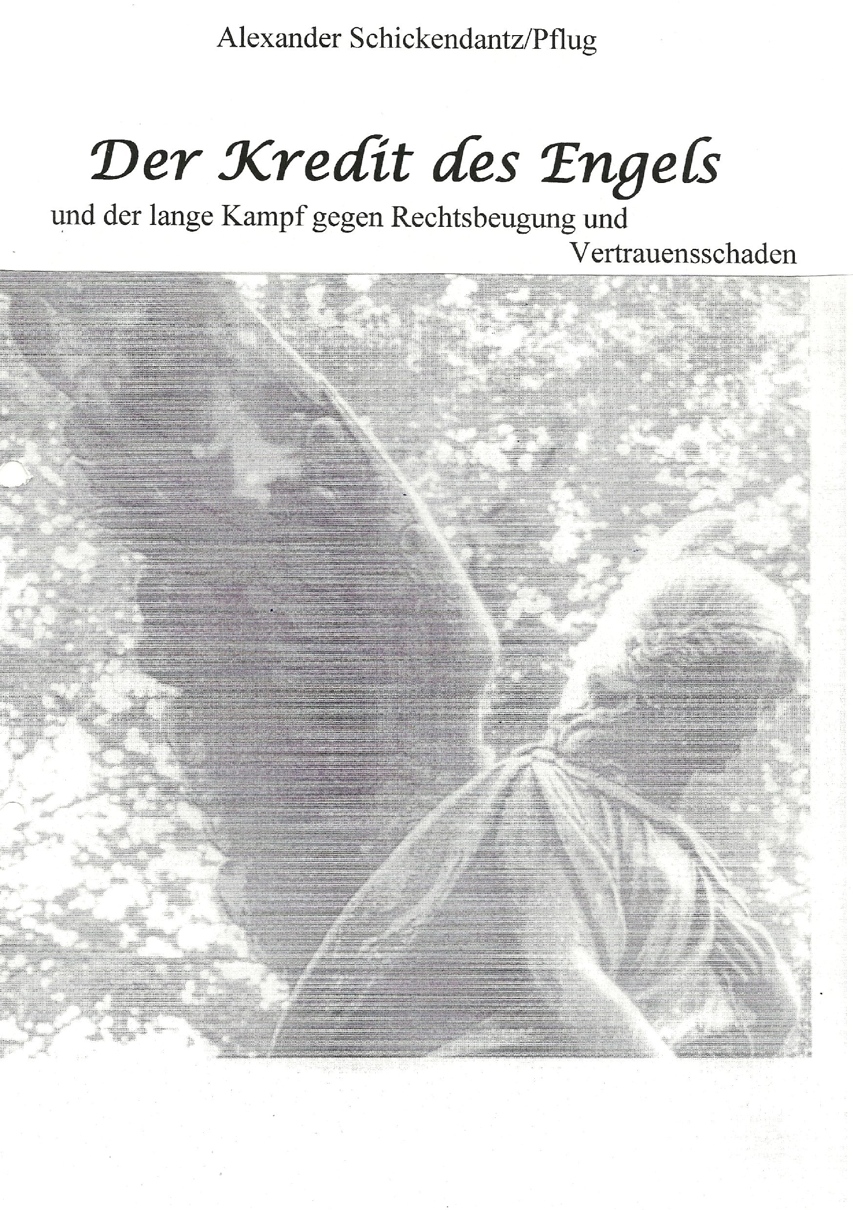 Der Kredit des Engels: und der lange Kampf gegen Rechtsbeugung und Vertrauensschaden Contemporary literature