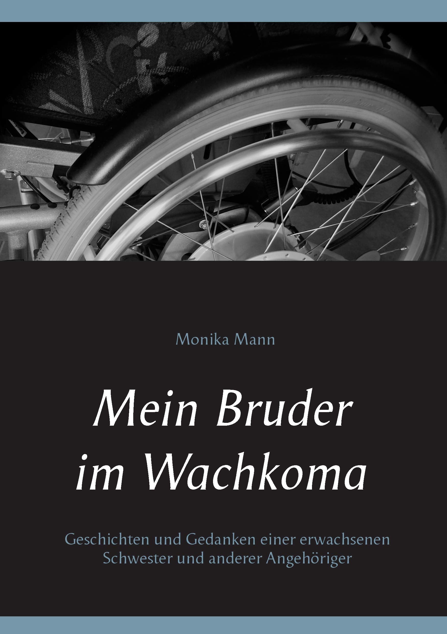 Product Image: Mein Bruder im Wachkoma