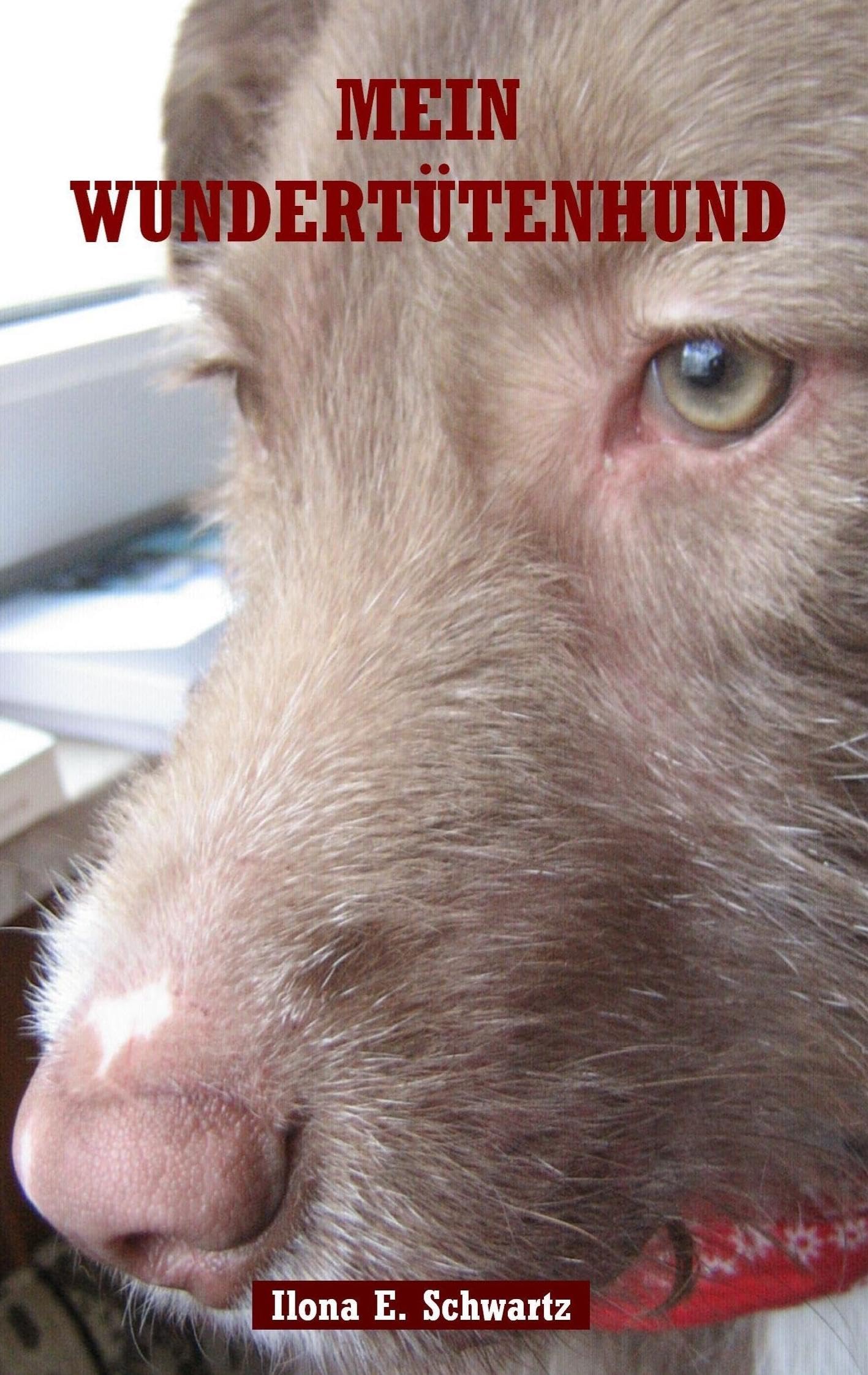 Mein Wundertütenhund: Das andere Tierbuch Essays & Short Stories