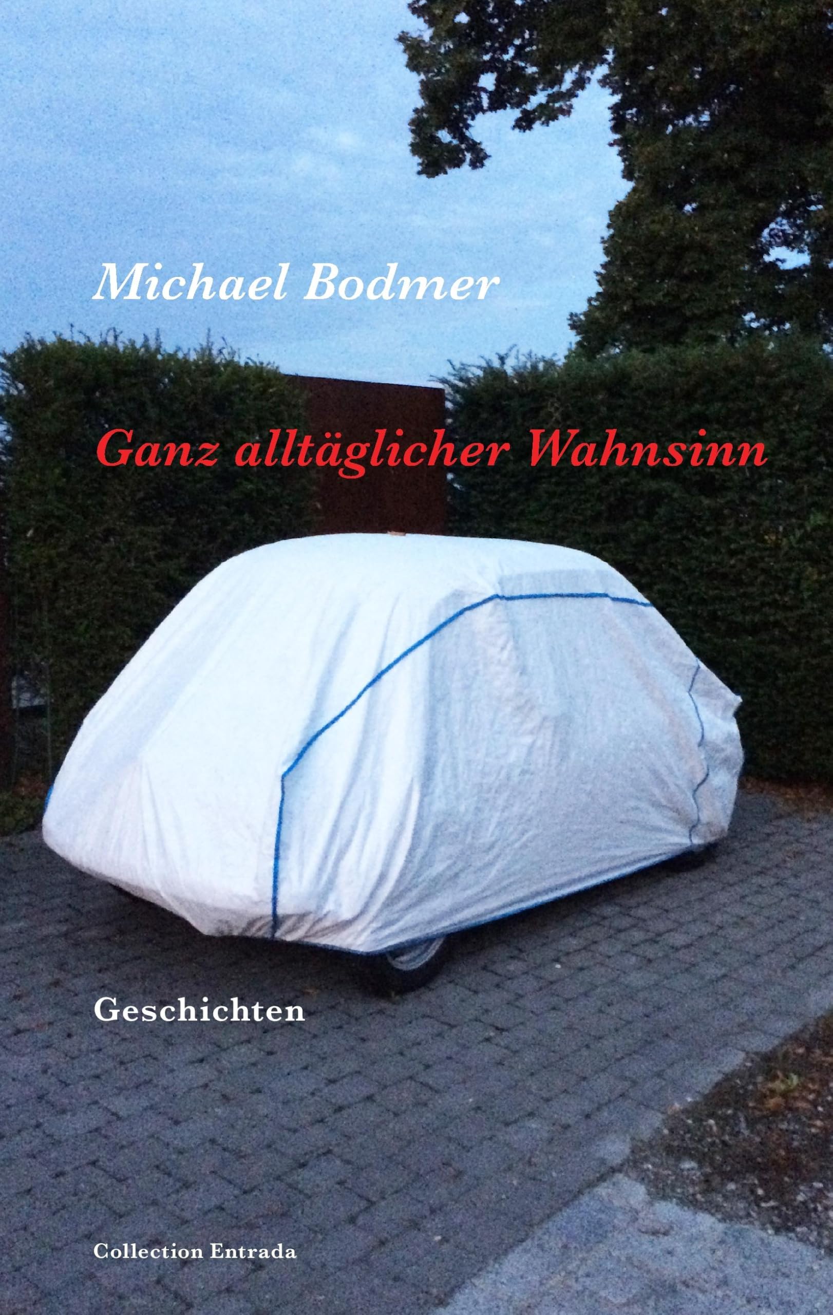 Ganz alltäglicher Wahnsinn Contemporary literature