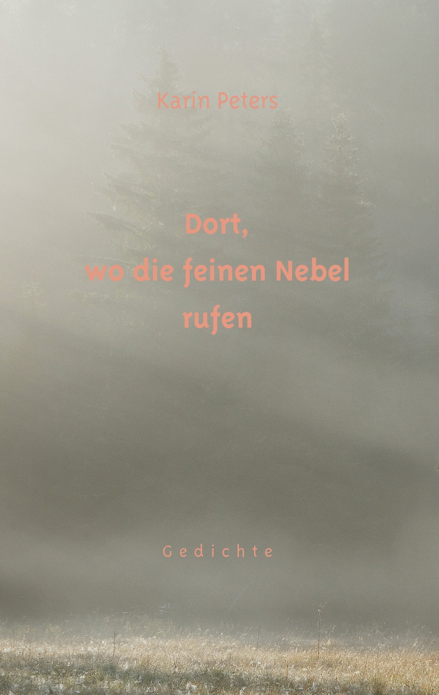 Dort, wo die feinen Nebel rufen: Gedichte Poetry