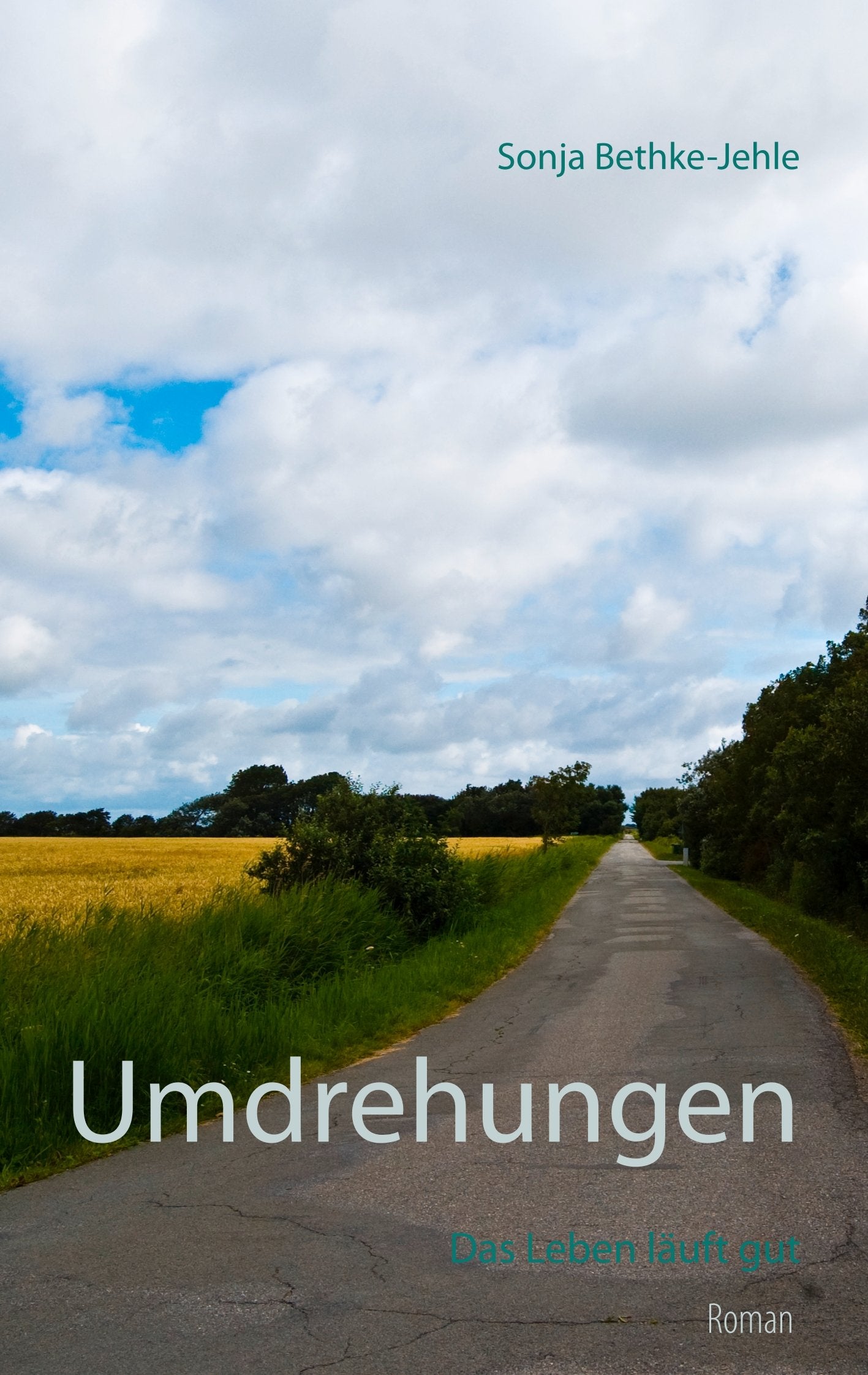Umdrehungen: Das Leben läuft gut Contemporary literature