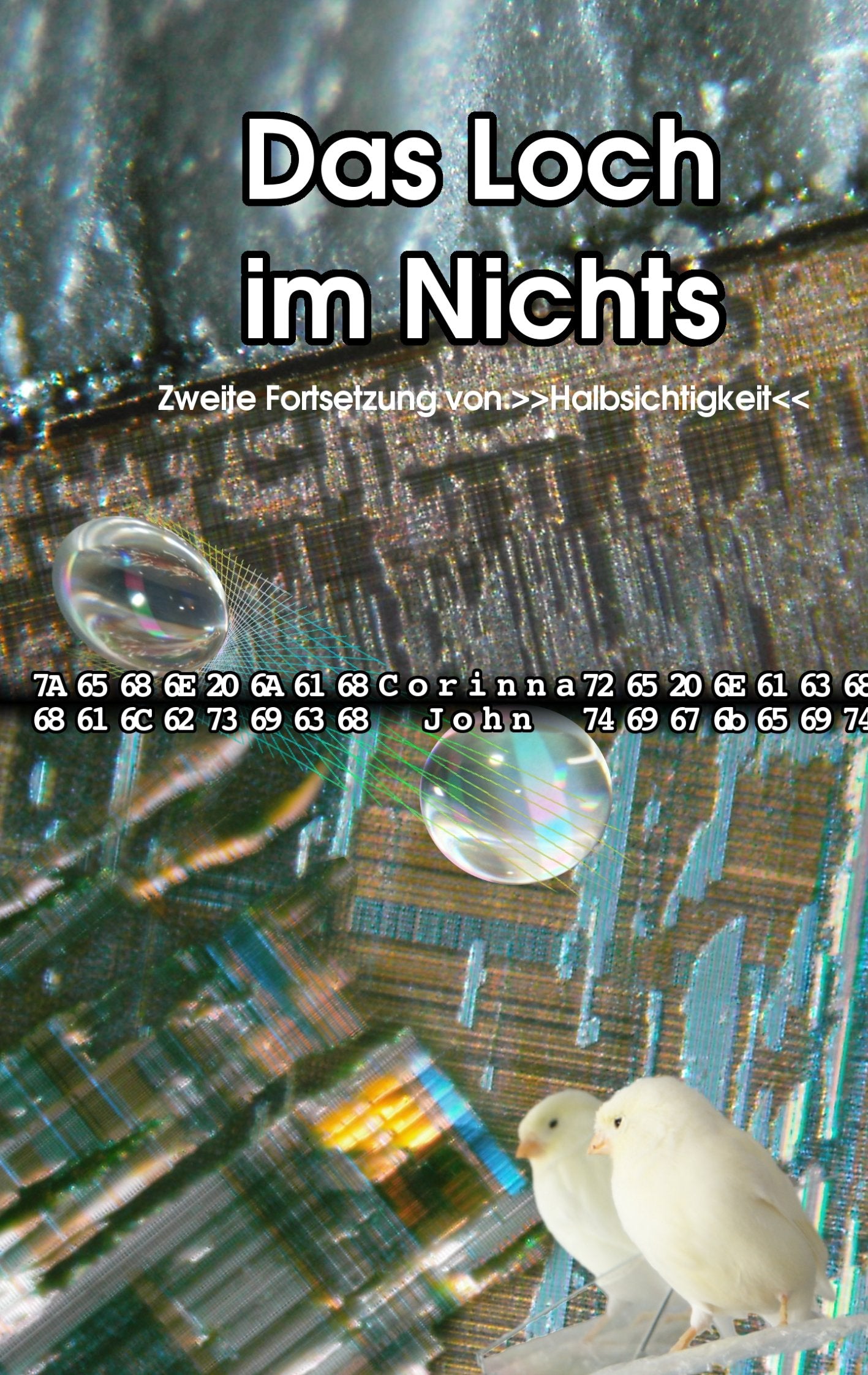 Das Loch im Nichts: Zweite Fortsetzung von "Halbsichtigkeit" Contemporary literature