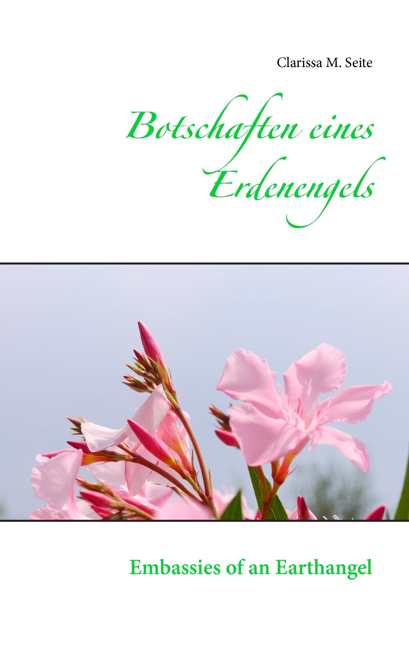 Botschaften eines Erdenengels: Embassies of Earthangel Religion & Esotericism