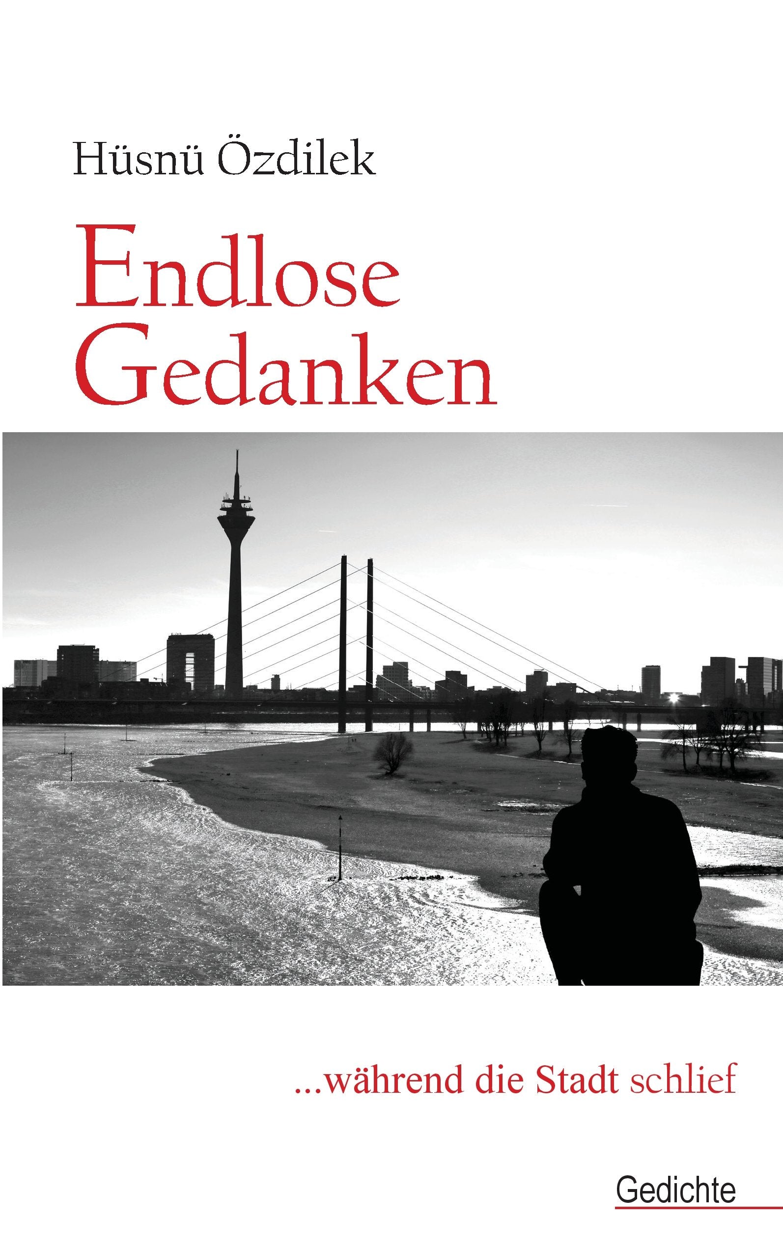 Endlose Gedanken: ... während die Stadt schlief Poetry