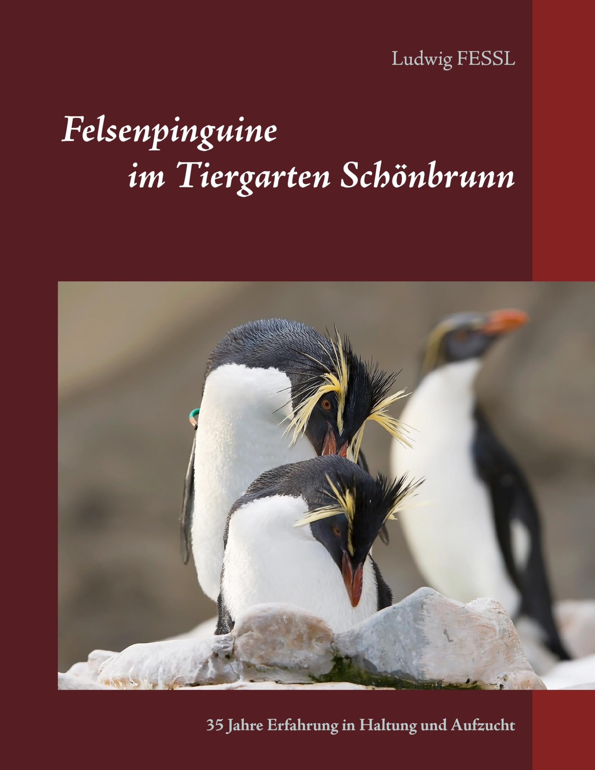 Felsenpinguine im Tiergarten Schönbrunn: 35 Jahre Erfahrung in Haltung und Aufzucht Medicine