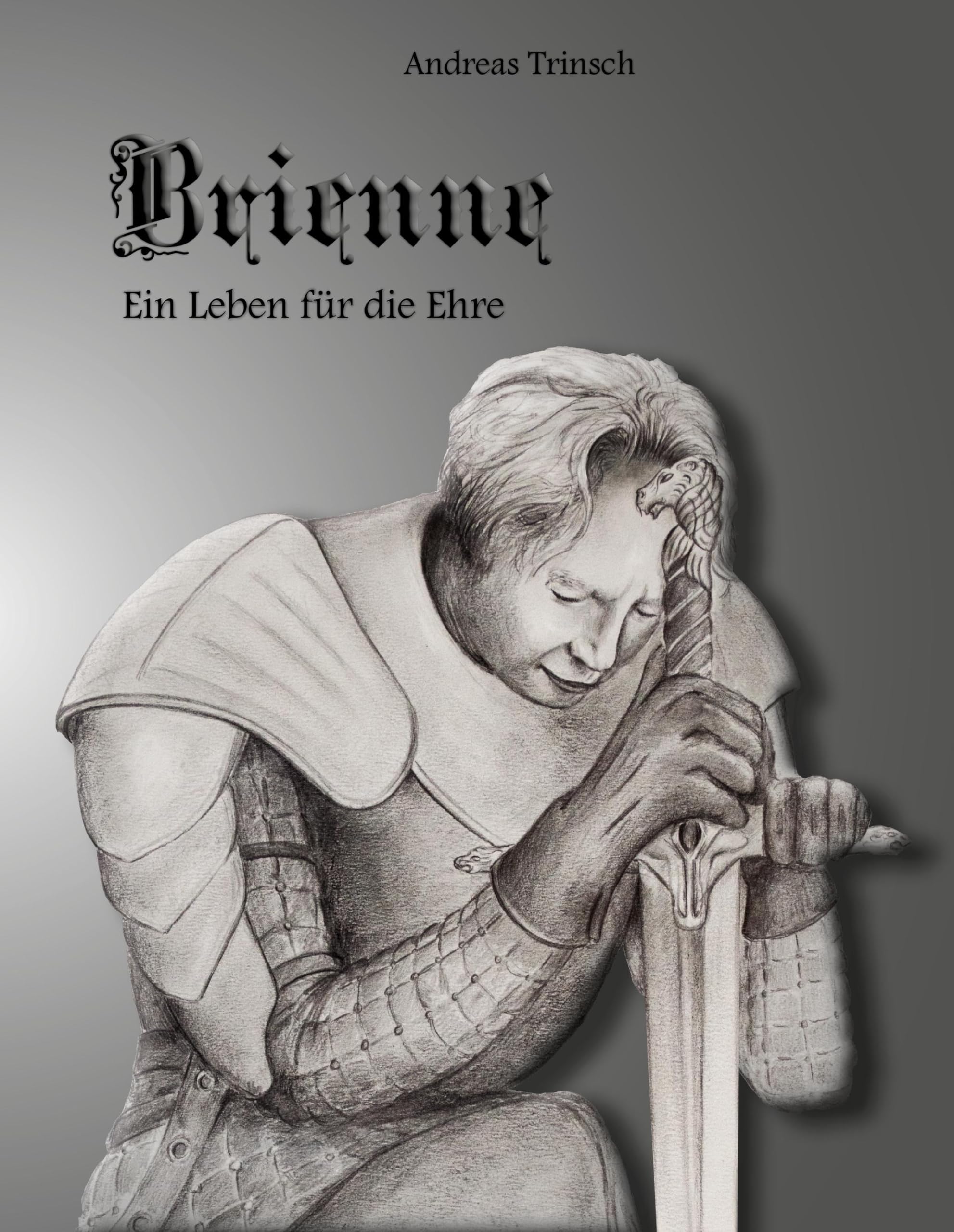 Brienne: Ein Leben für die Ehre Contemporary literature