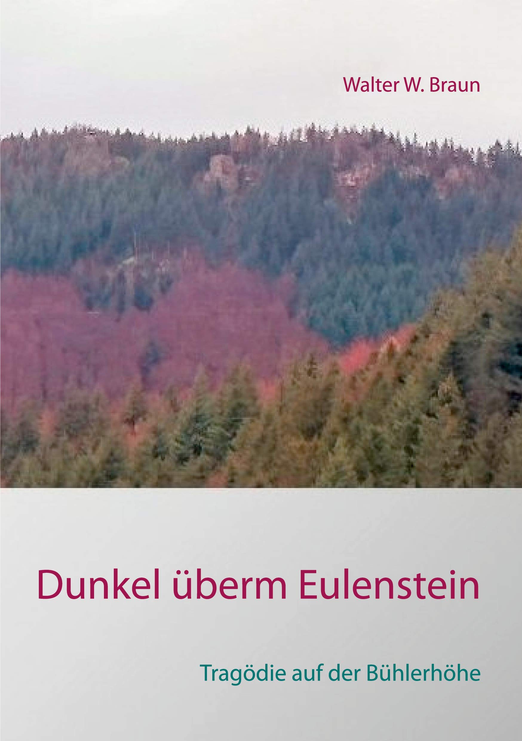 Dunkel überm Eulenstein Contemporary literature Books