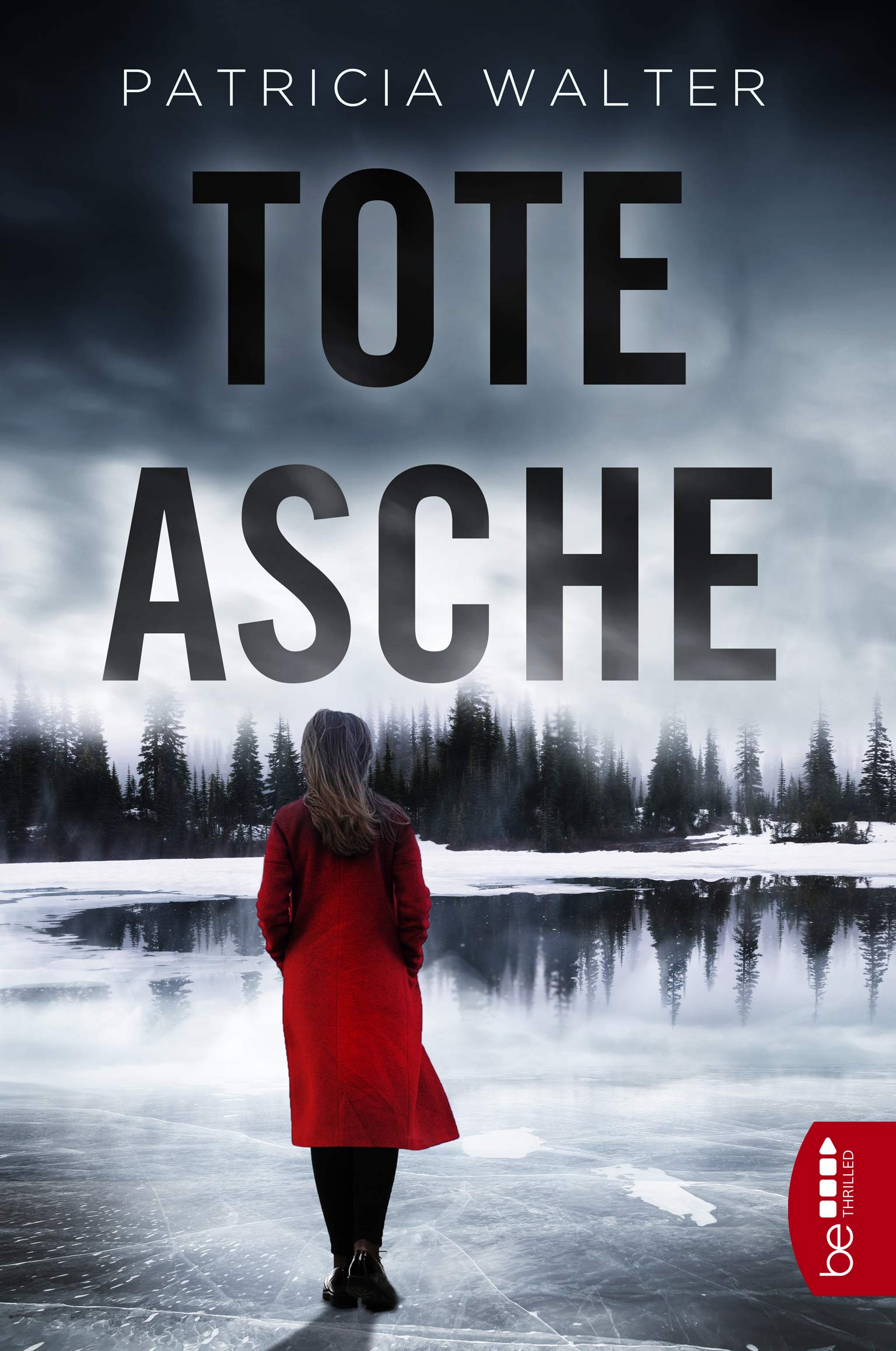 Tote Asche Contemporary literature Books