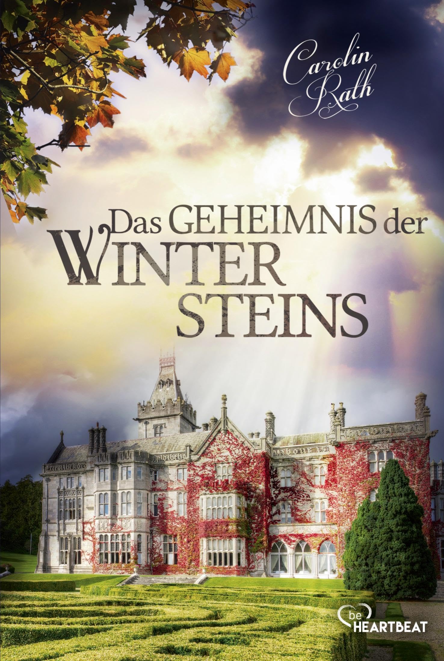 Das Geheimnis der Wintersteins Historical Fiction