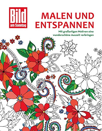Malen und entspannen: Das Bild am Sonntag-Malbuch Hobbies & Crafts