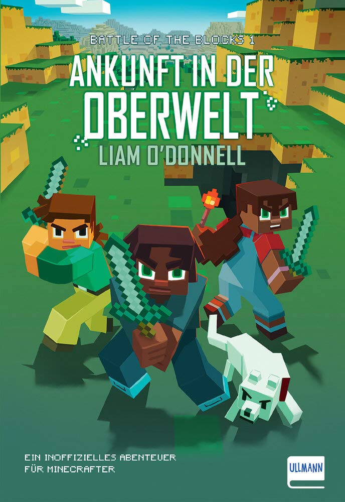 Ankunft in der Oberwelt Computer Science Books